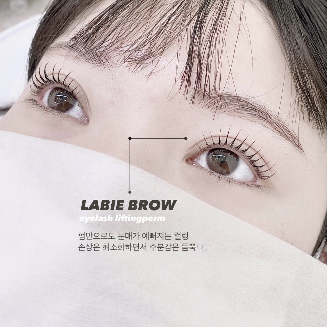 라비에브로우