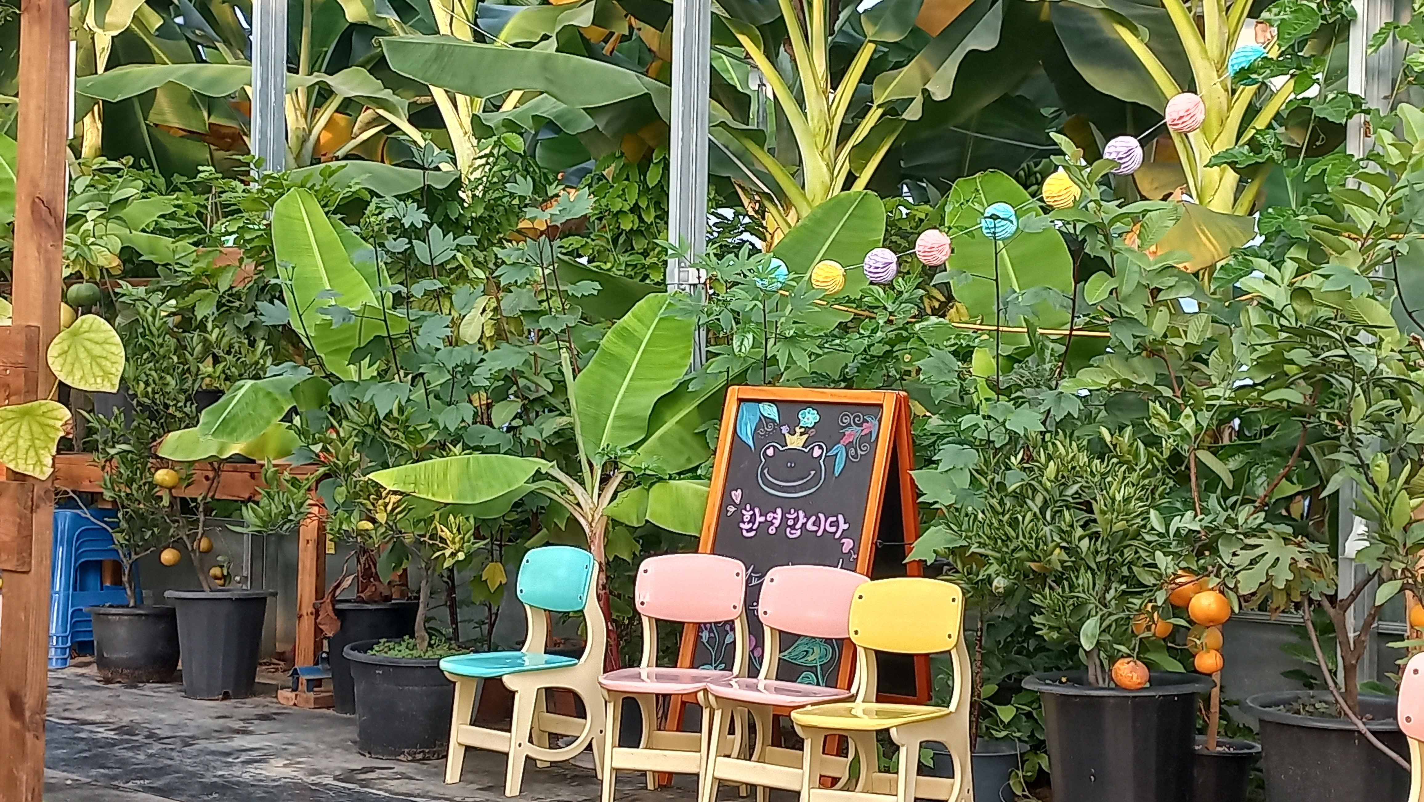 커피에반하다 강원화천점 반려동물 동반 애견카페