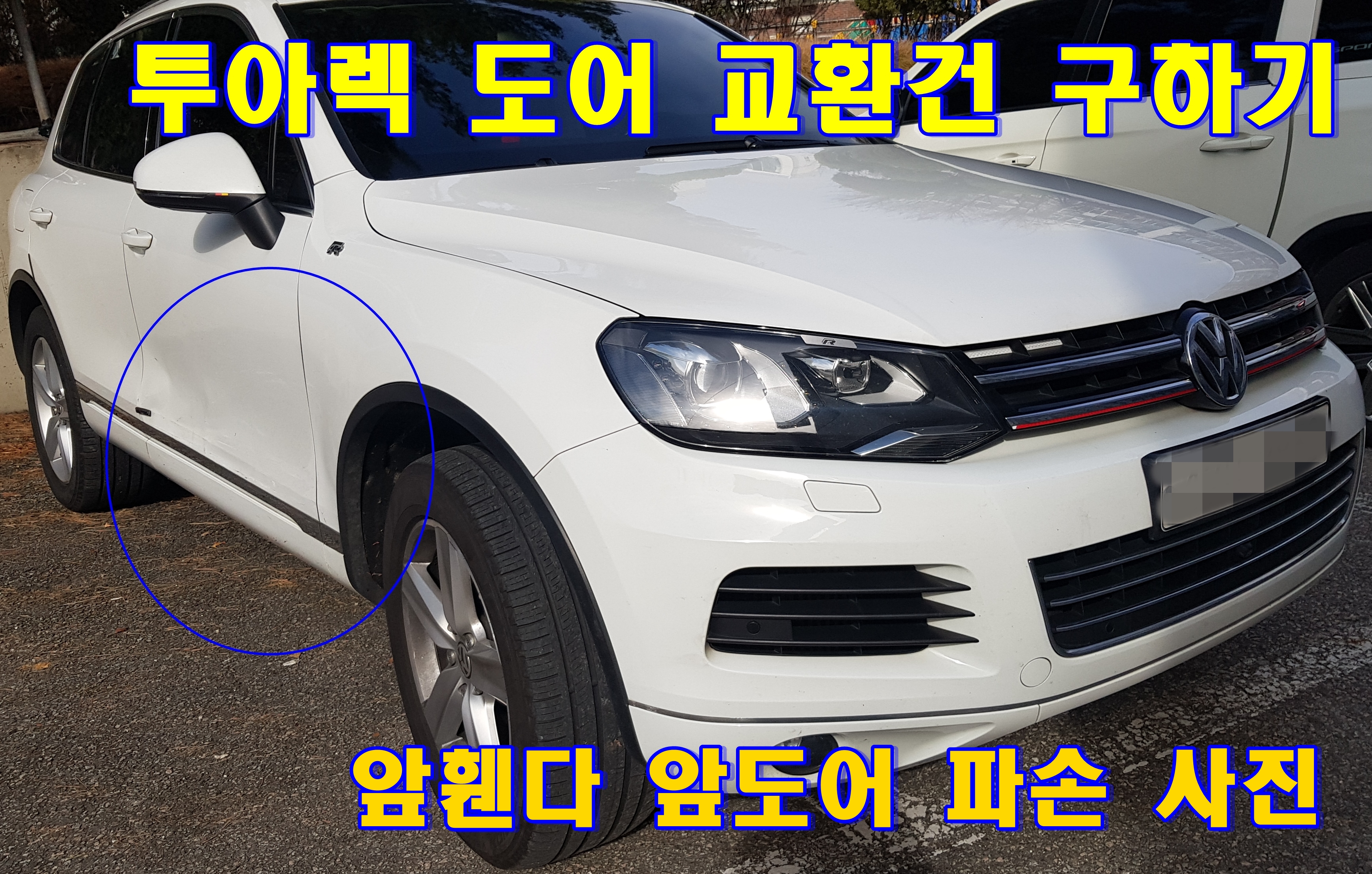 덴트프로