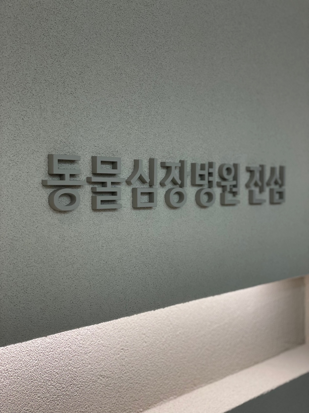 동물심장병원진심 대표 이미지