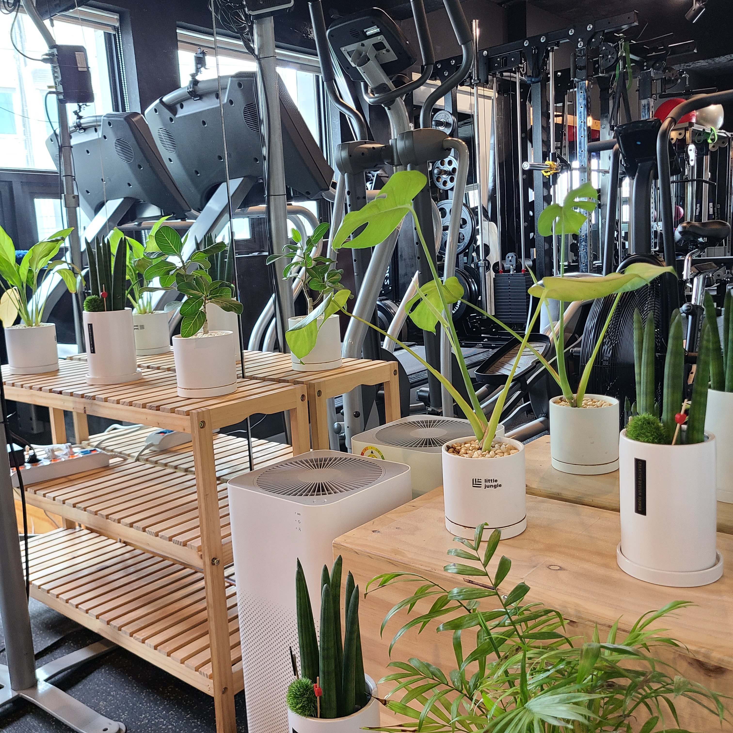 LIM FIT 한남 대표 이미지