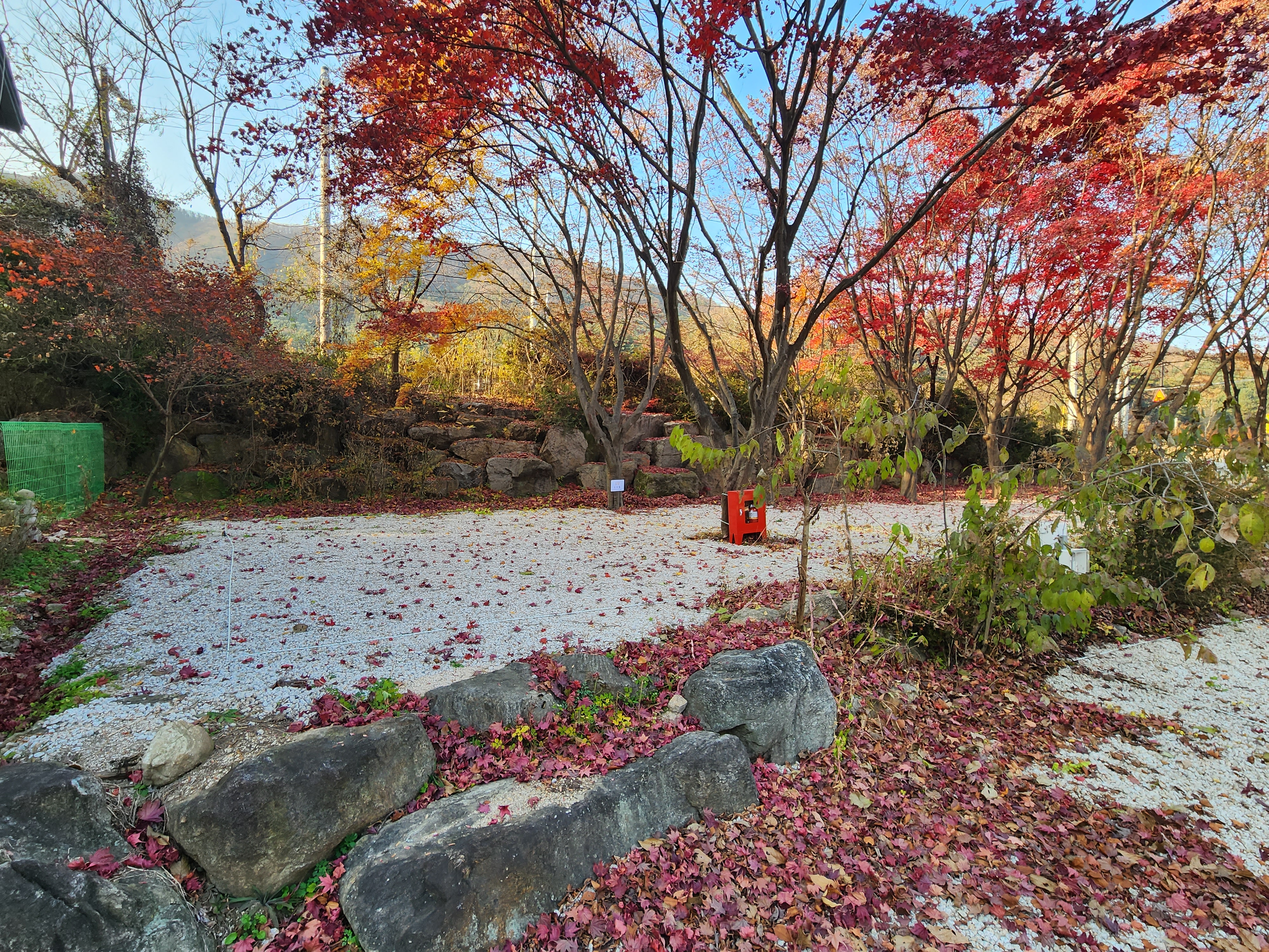 딥포레스트캠핑장