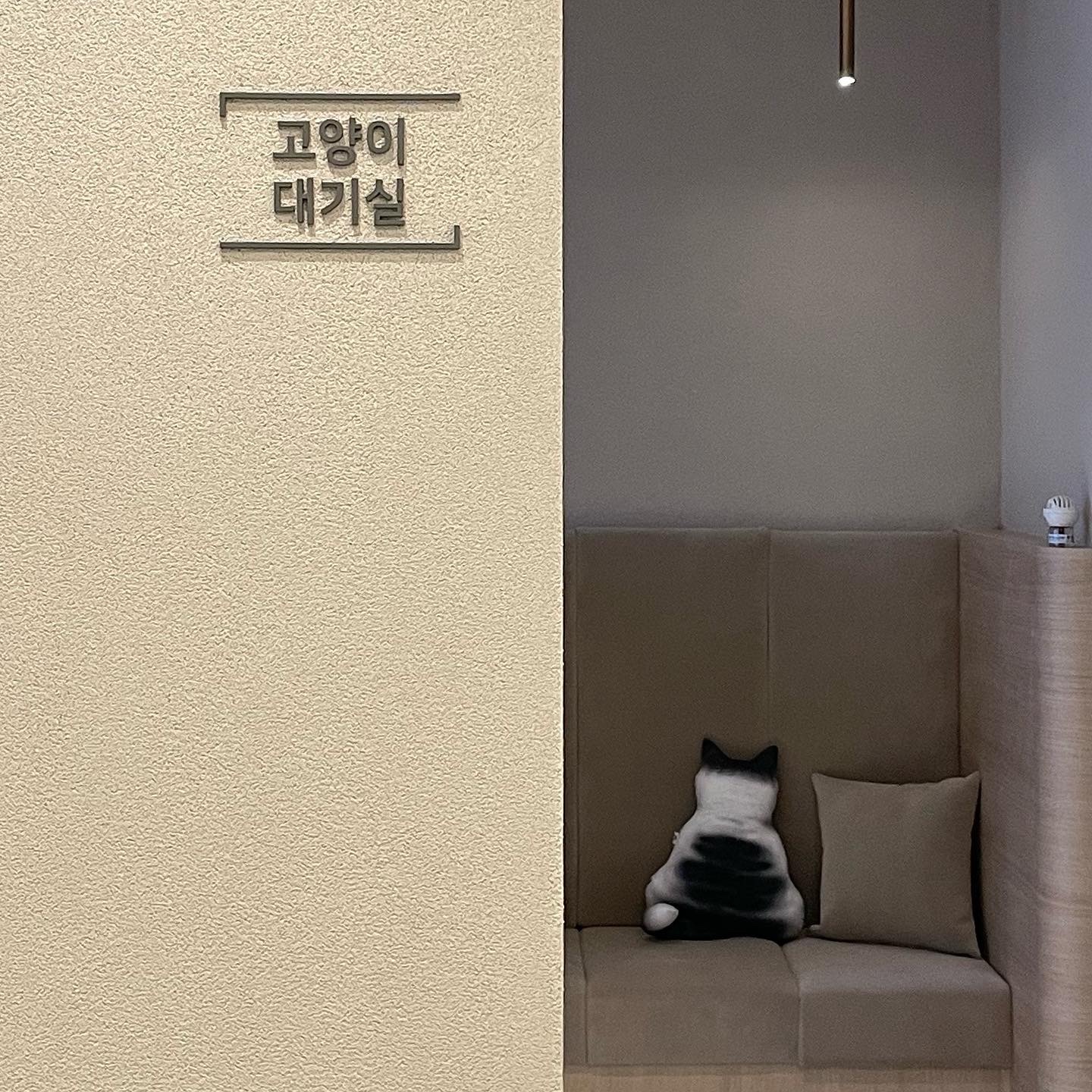 동물심장병원진심 대표 이미지
