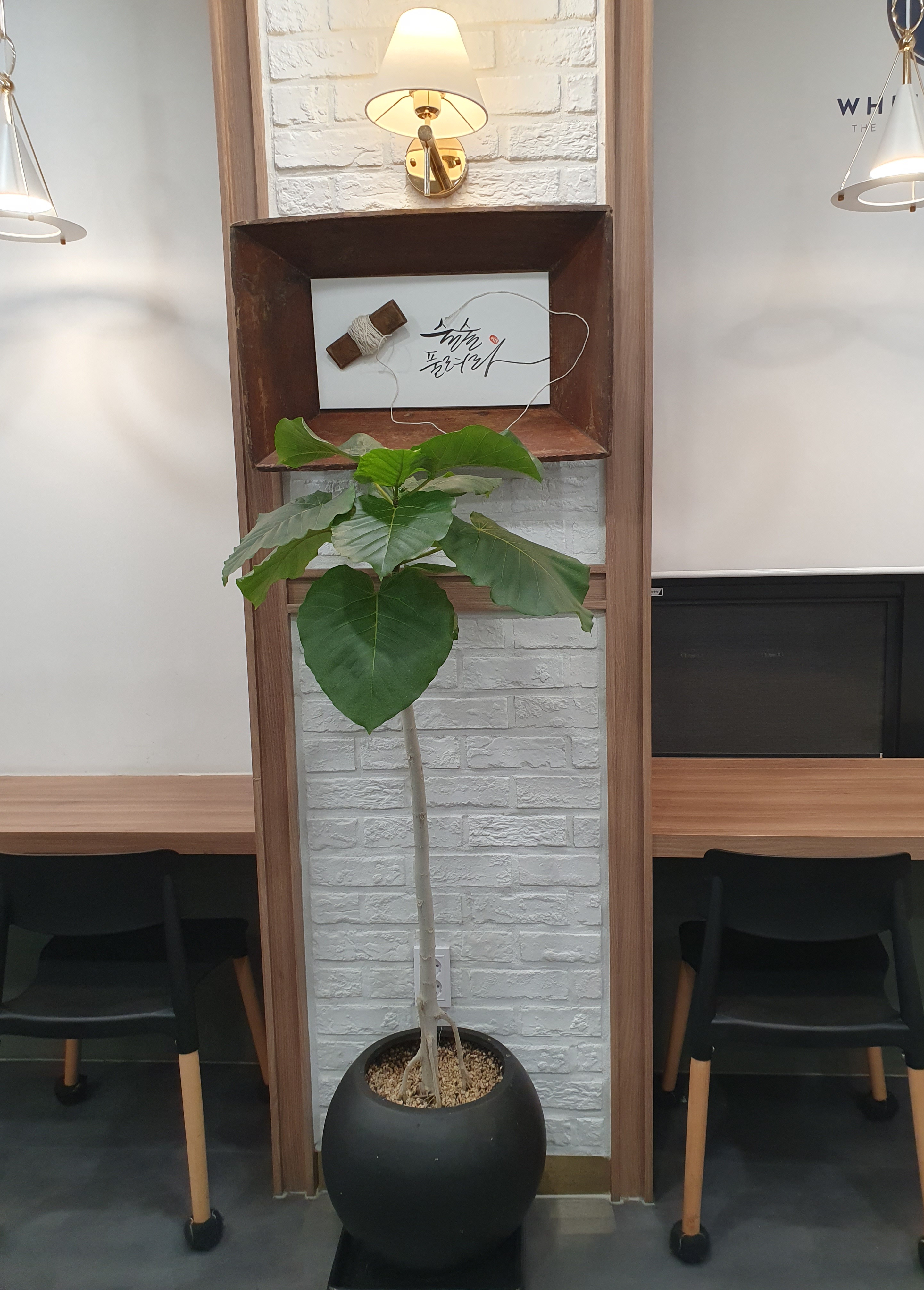 업체사진