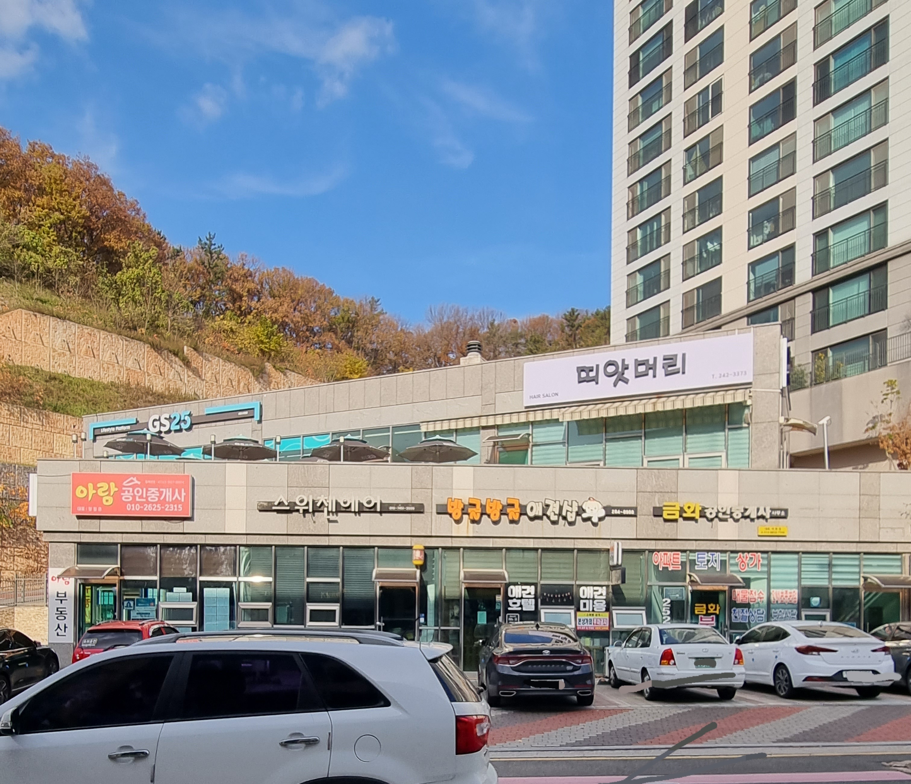 띠앗머리
