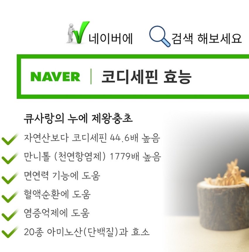 큐사랑 공주지사