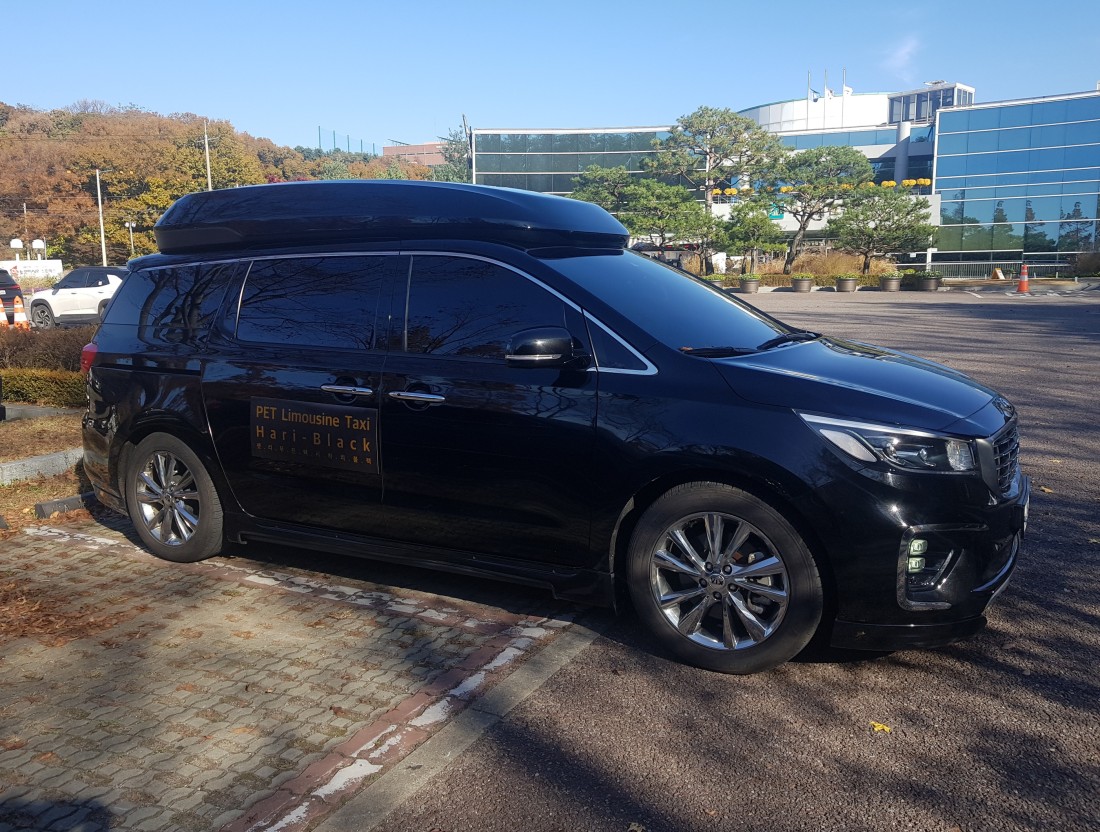 펫리무진택시하리블랙 대표 이미지