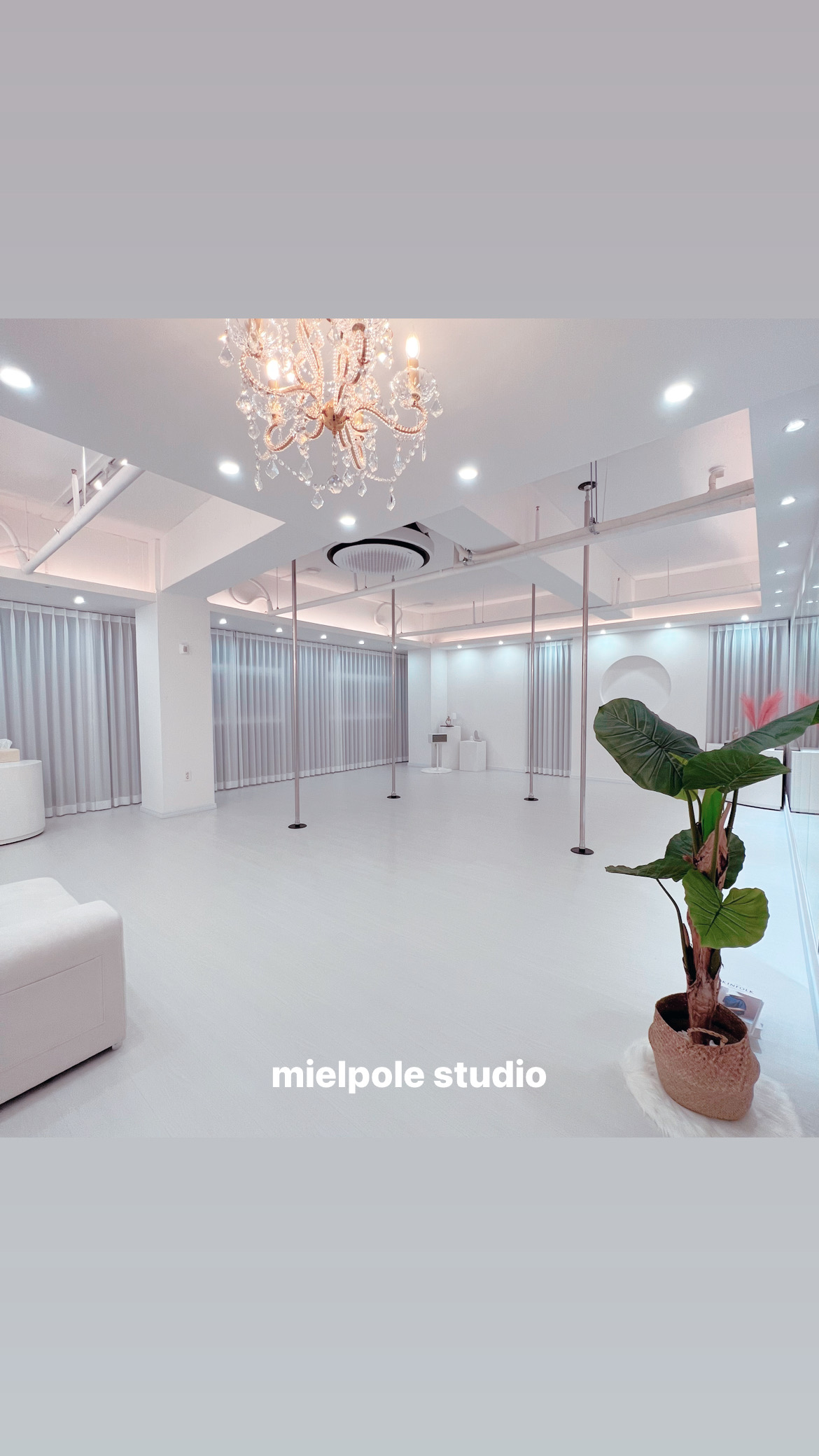 미엘 폴 스튜디오