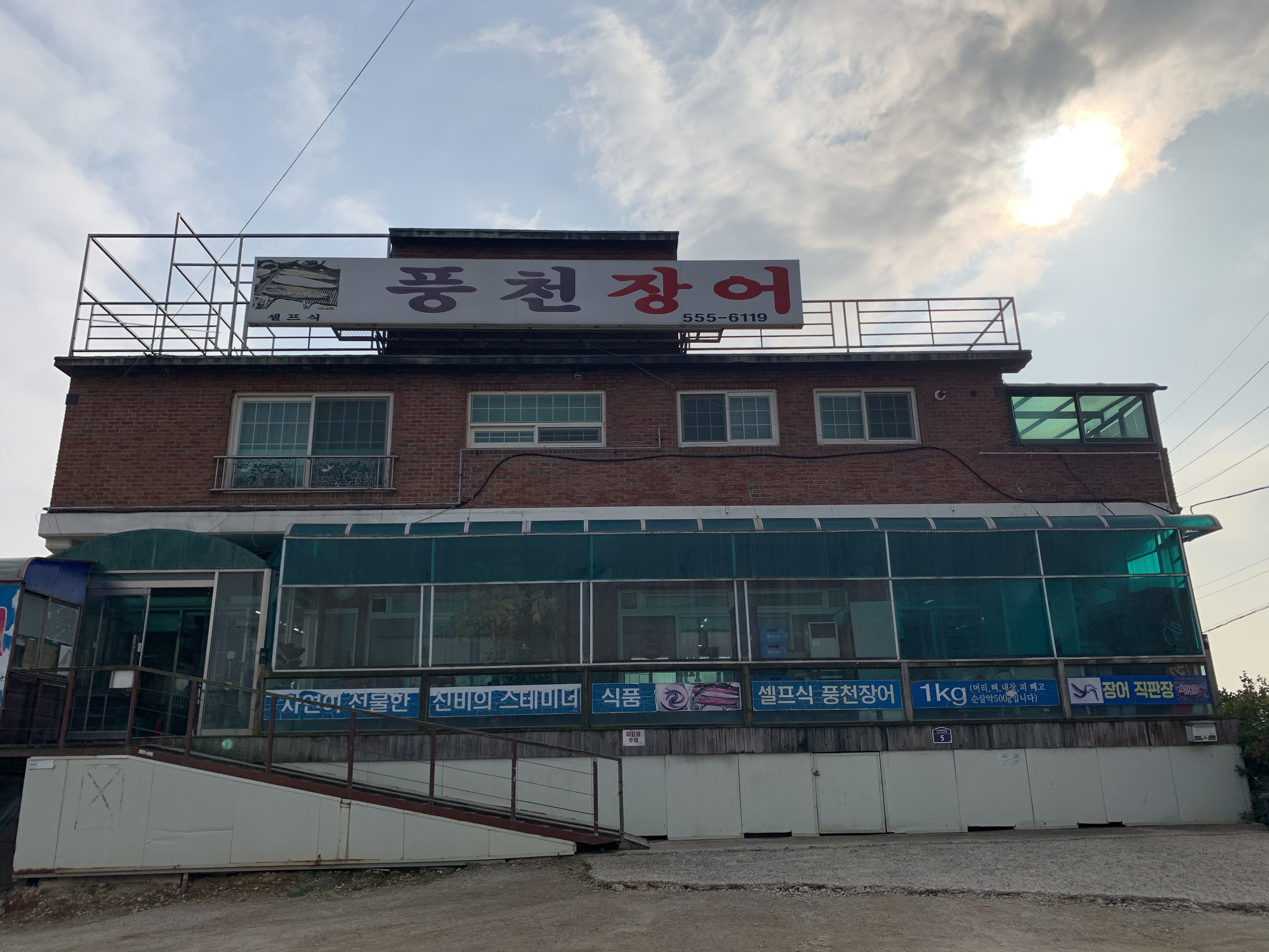 풍천장어