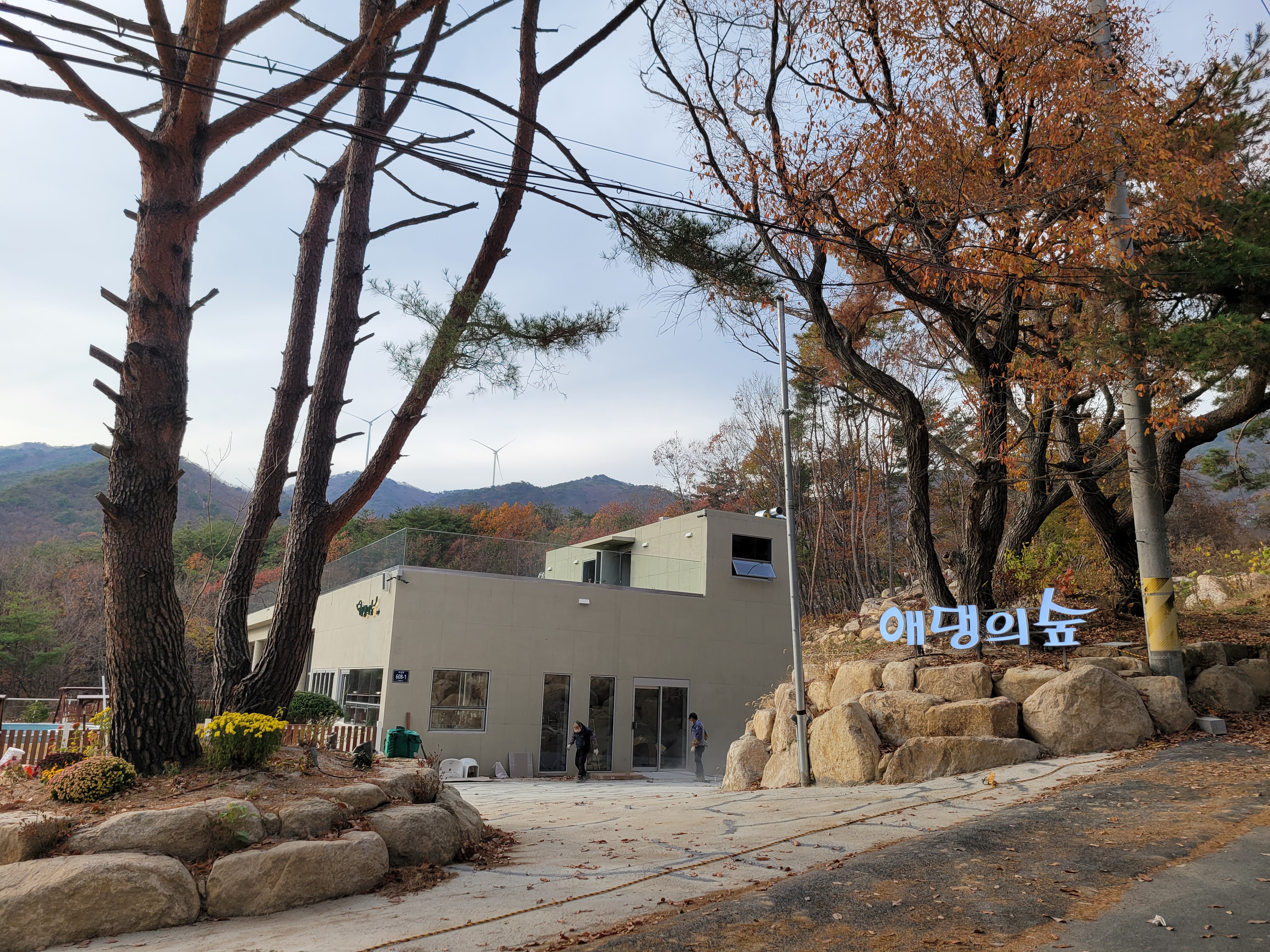 애댕의숲 반려동물 동반 애견카페