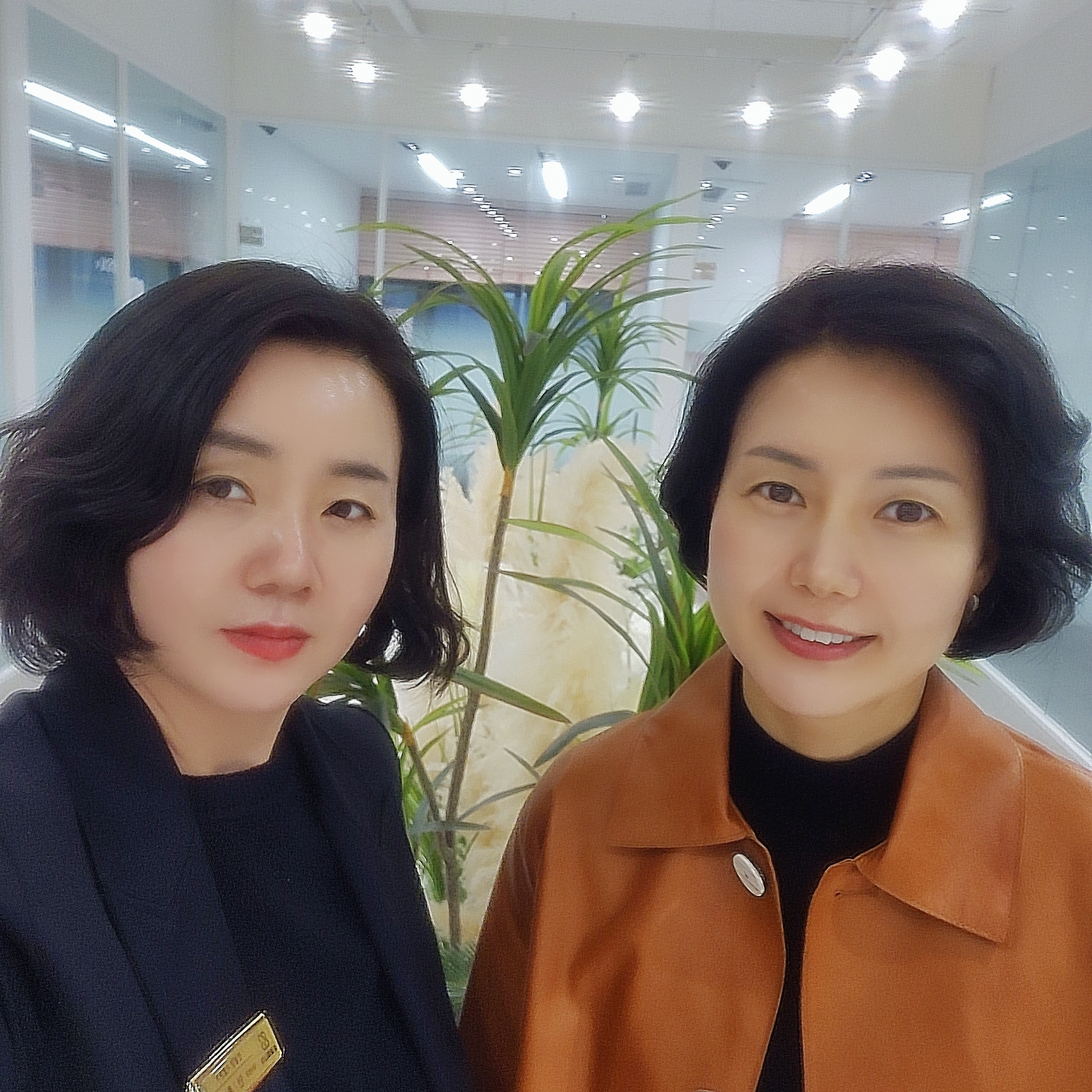 인셀덤 안성