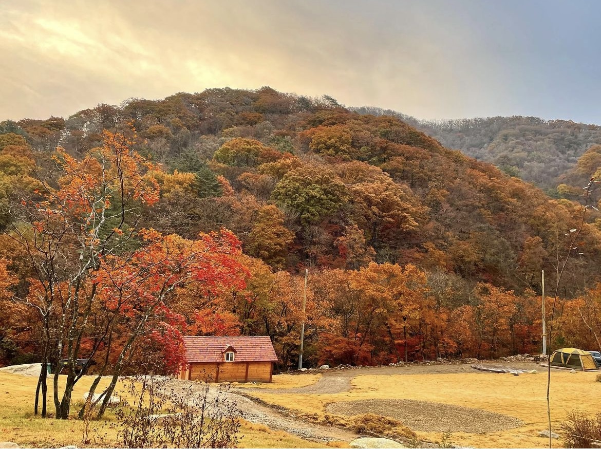 캠핑장 사진
