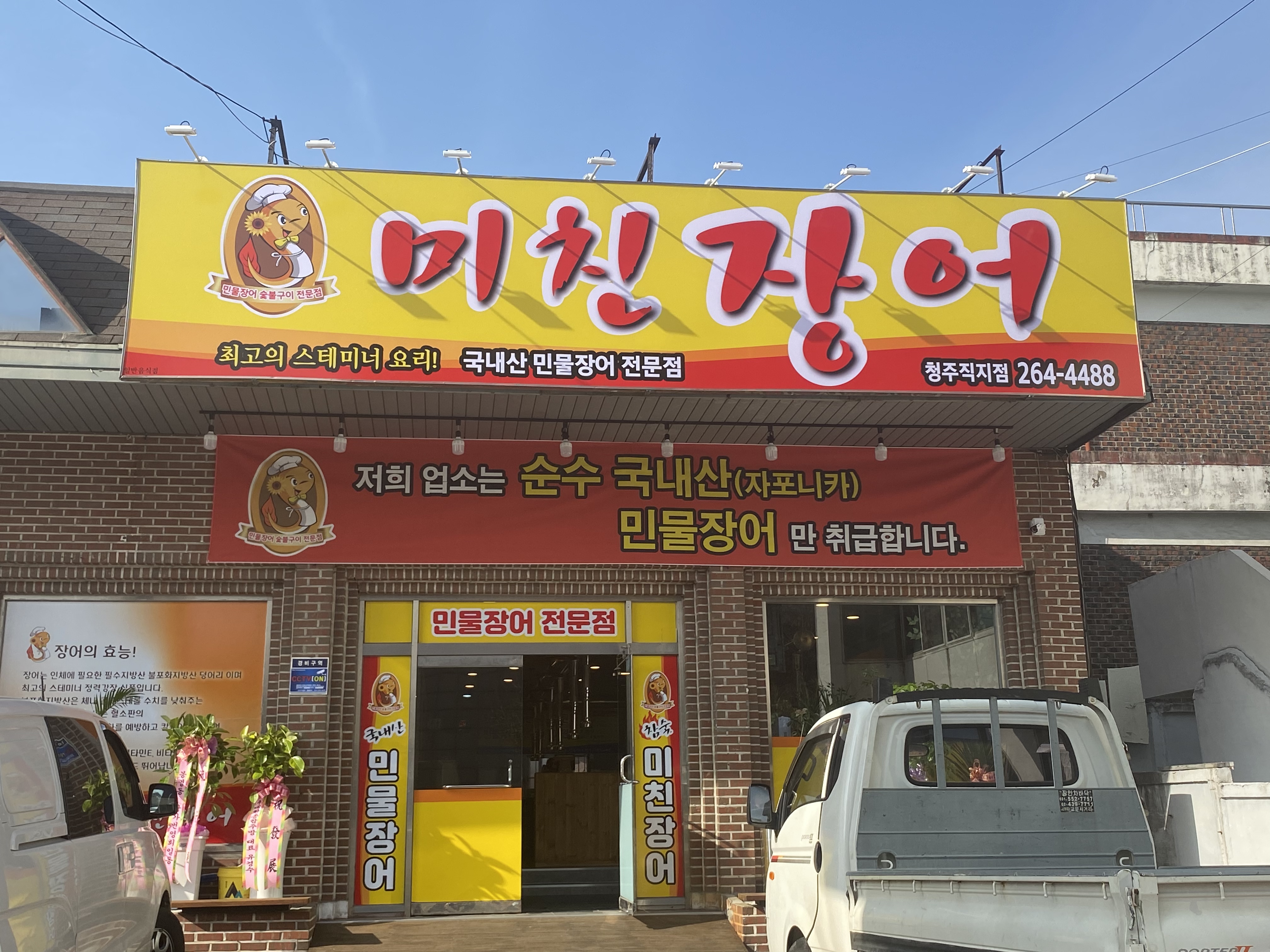 미친장어