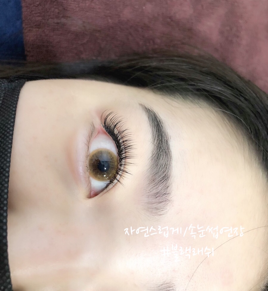 블랙래쉬 대표 이미지