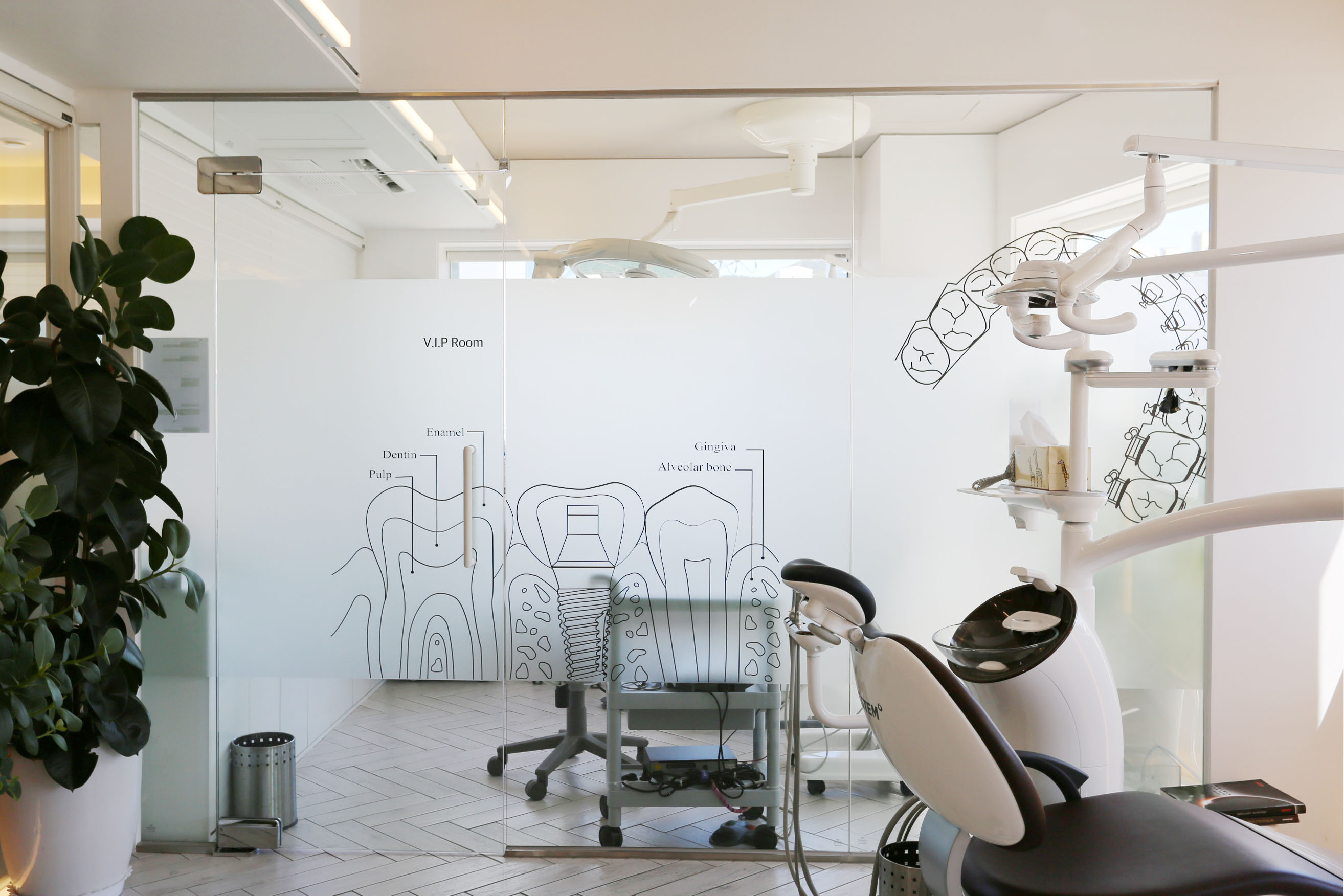 늘푸른치과의원 대표 이미지