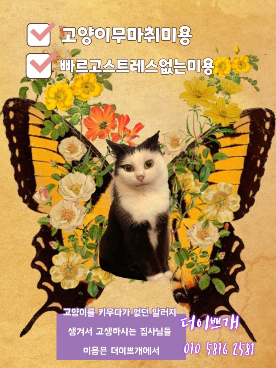 속초애견 더 이쁘개 대표 이미지