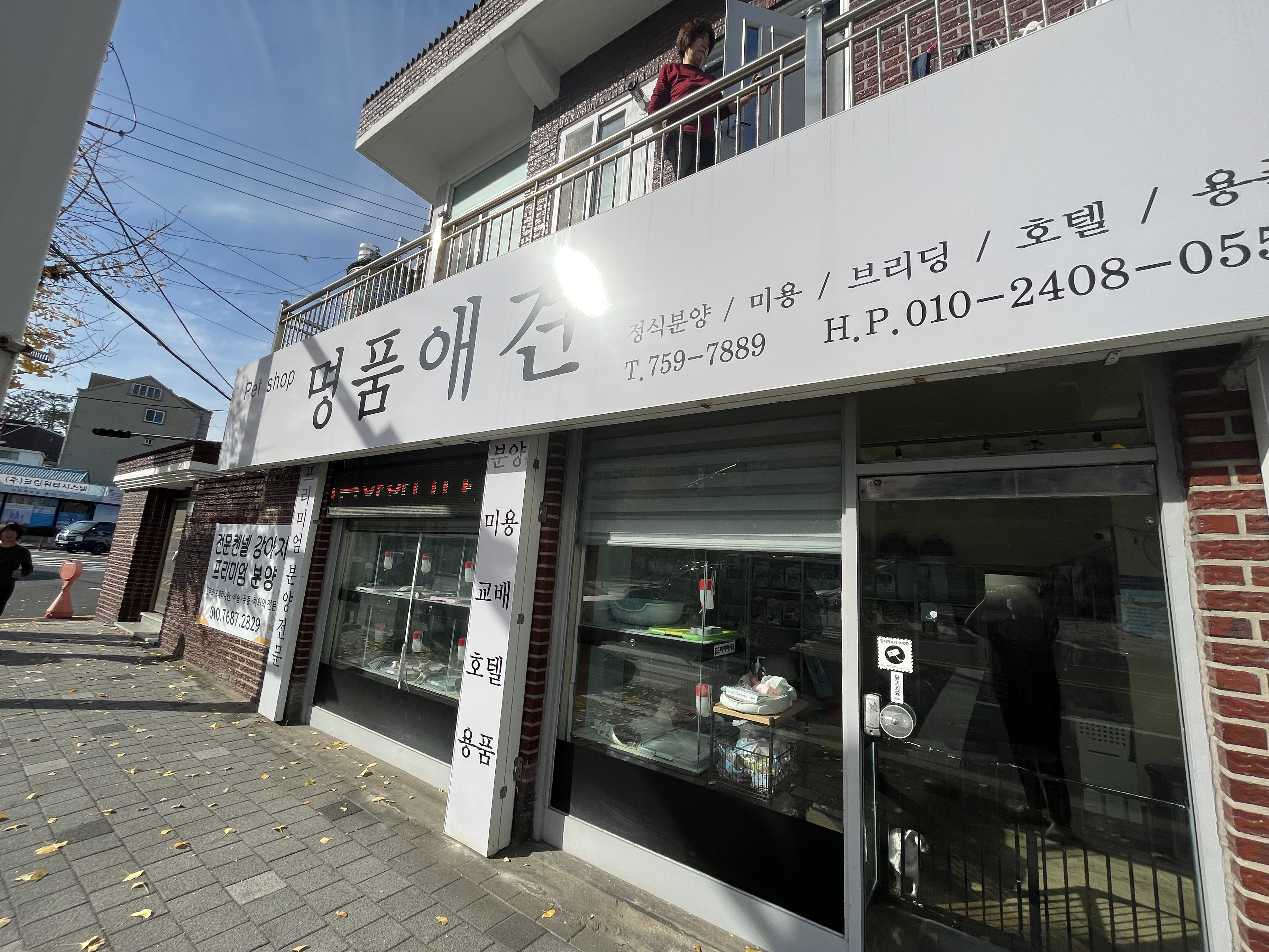 명품애견