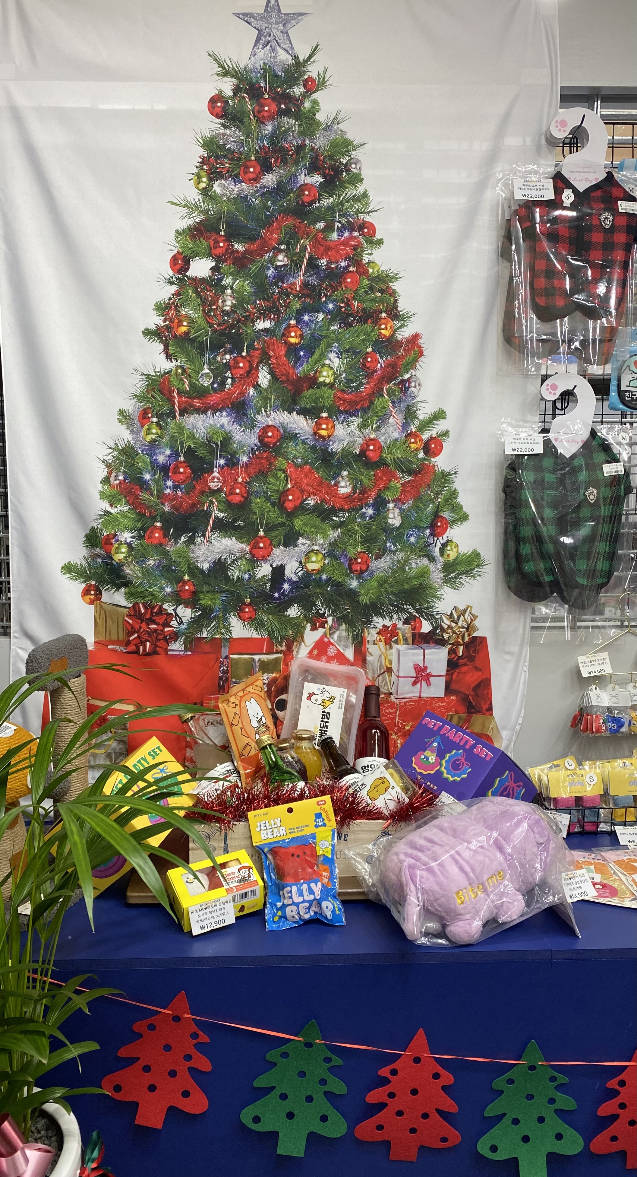 도그마캣 망원점 대표 이미지