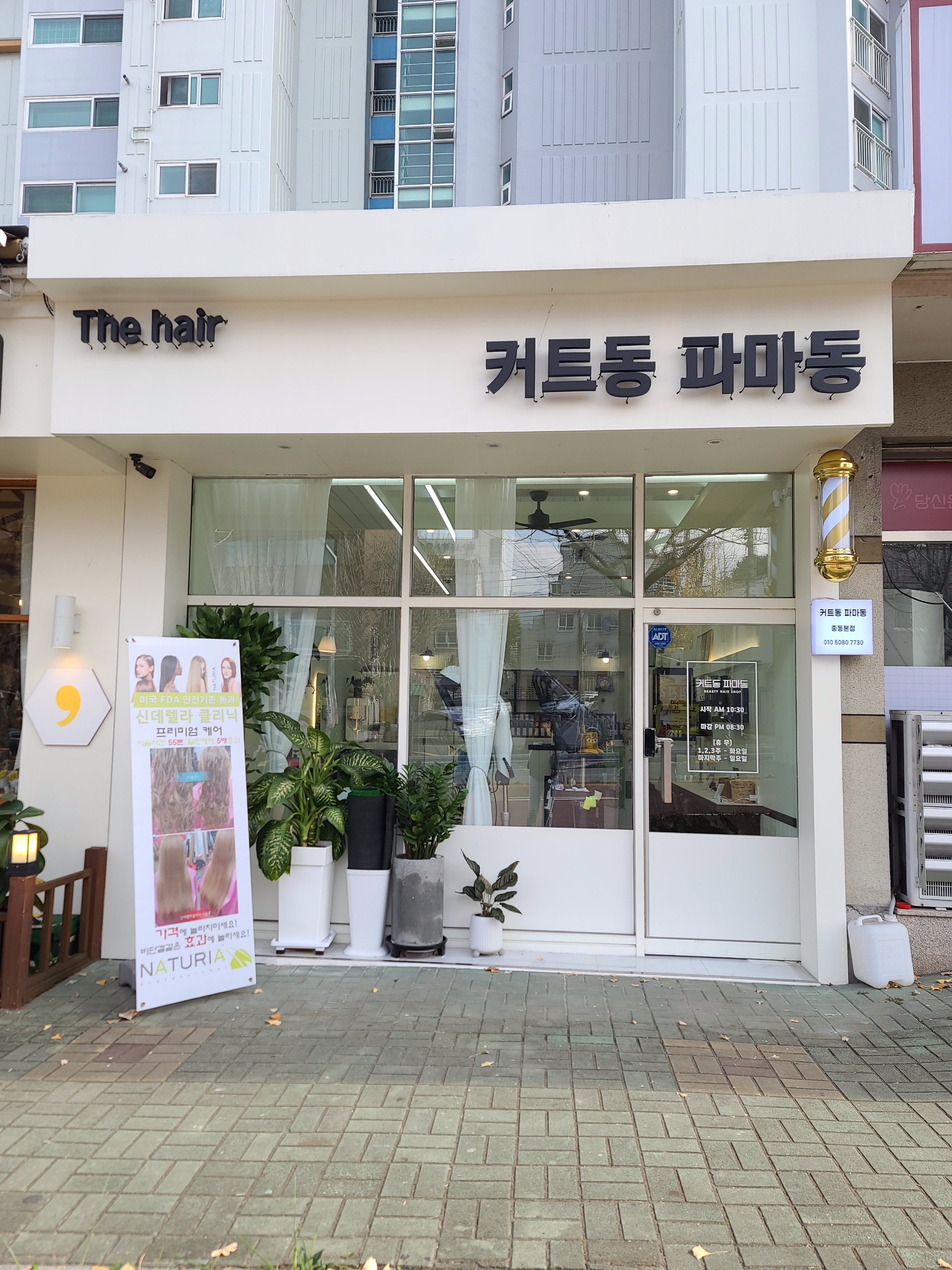 커트동파마동
