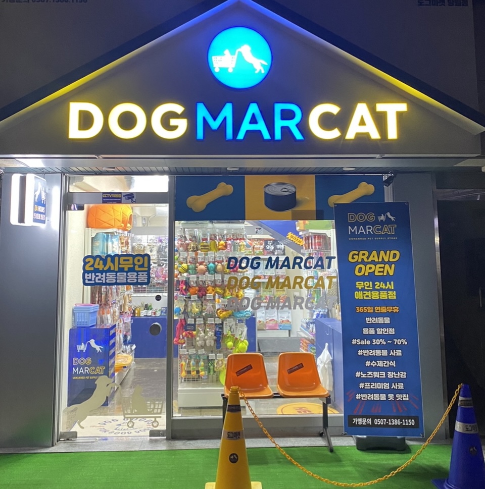 도그마캣 대표 이미지