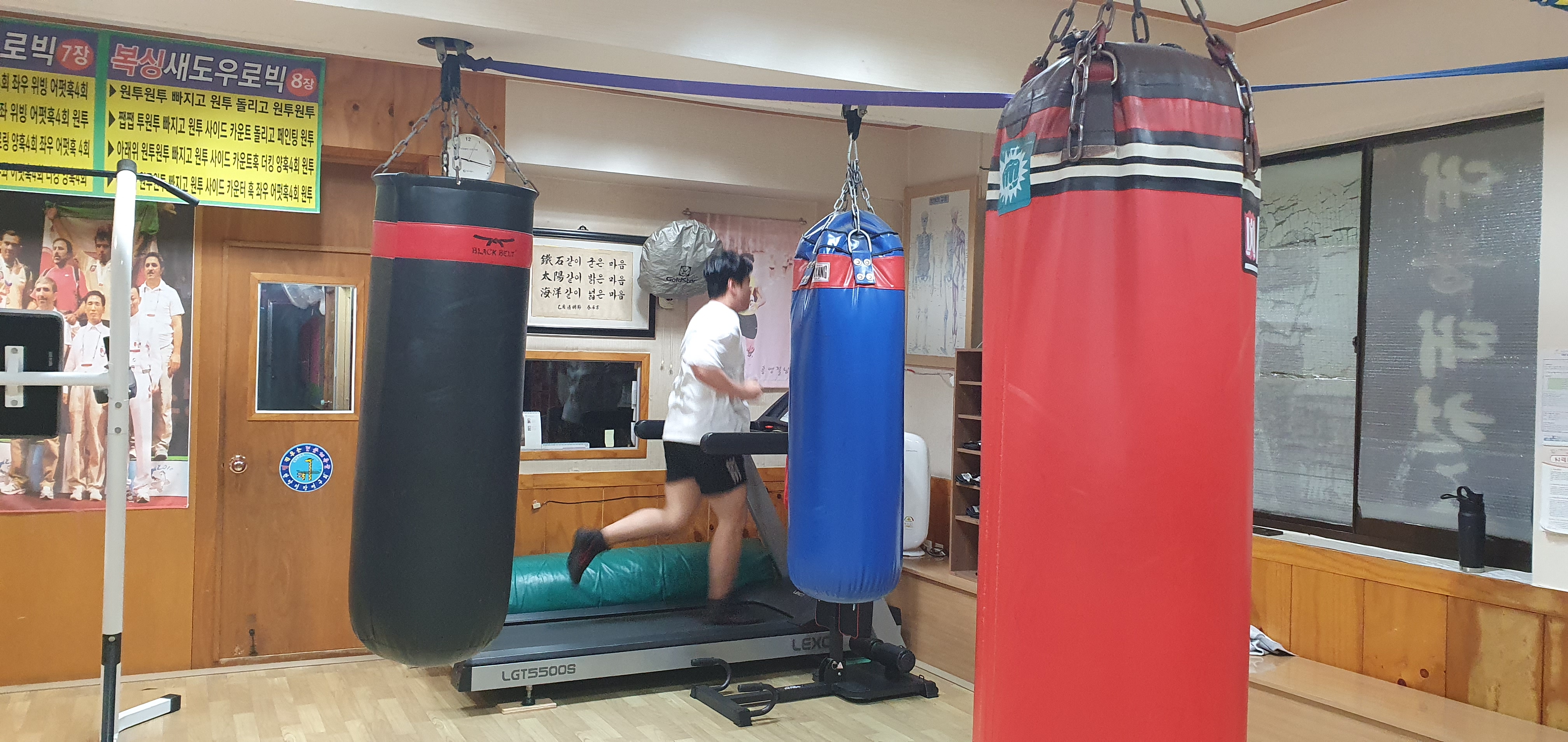 대구 달서구 월곡로45길 복싱체육관 대동복싱 내부 모습 5