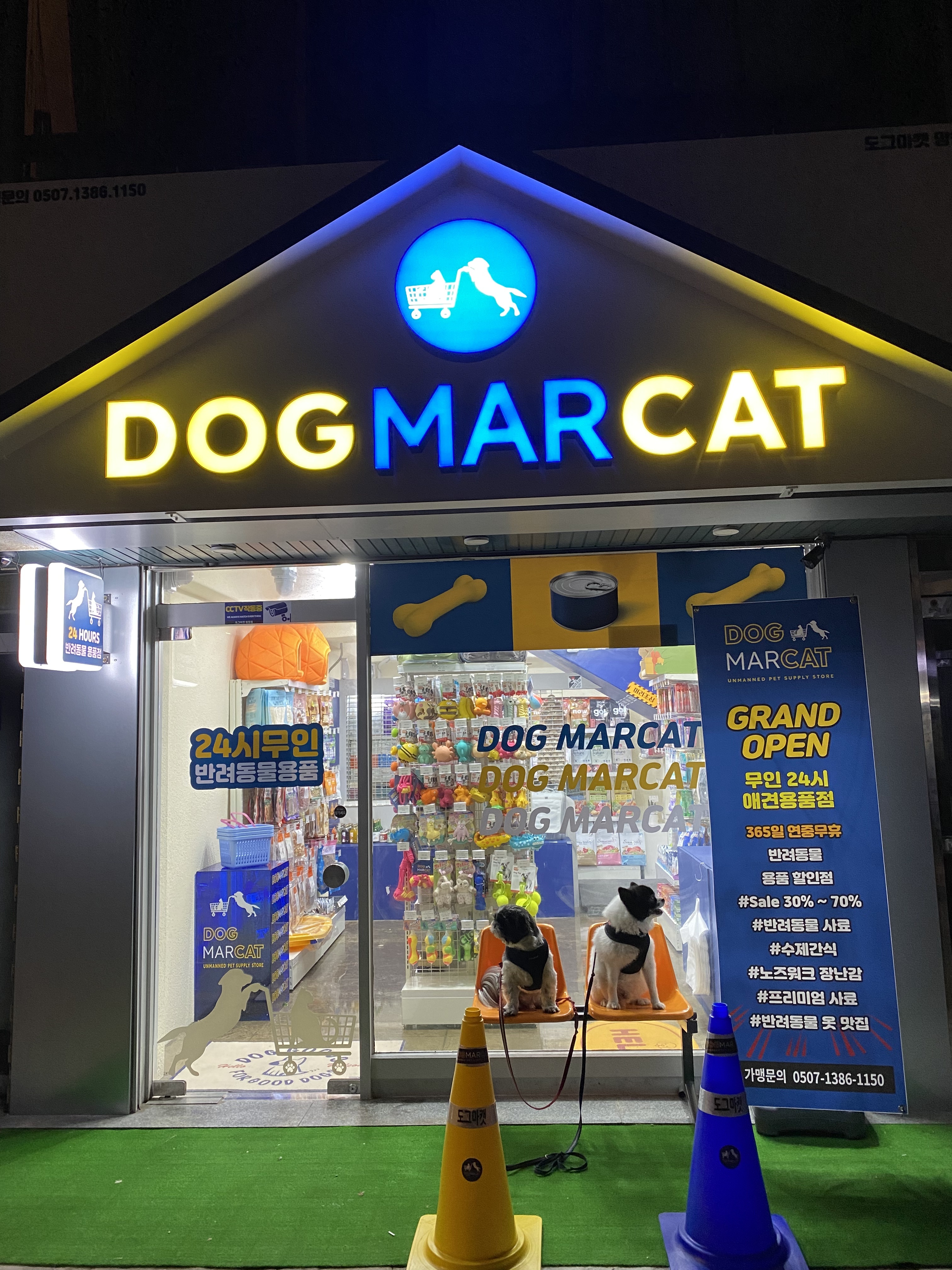 도그마캣 망원점 대표 이미지