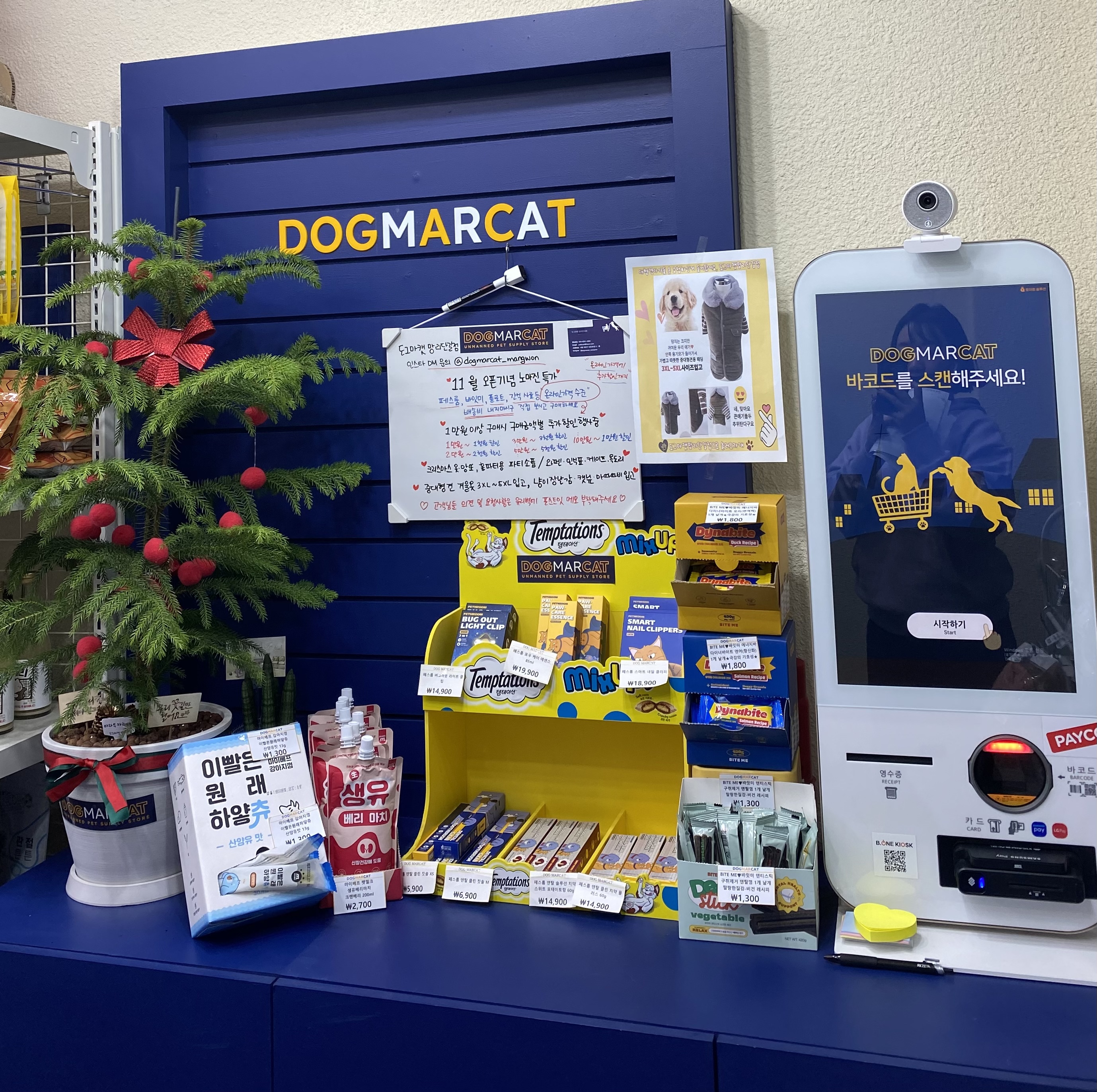 도그마캣 망원점 대표 이미지