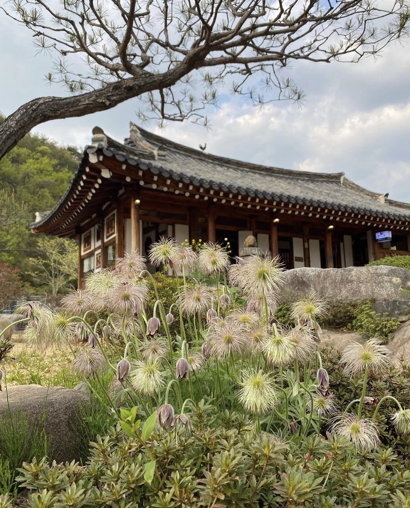 꽃피는 춘삼월