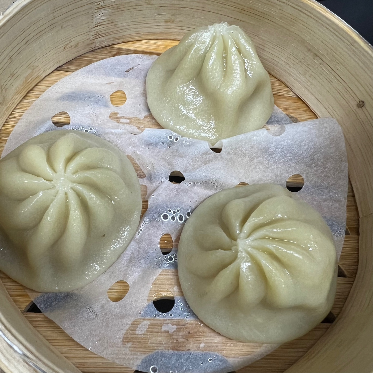 제레미20 강남고속터미널점