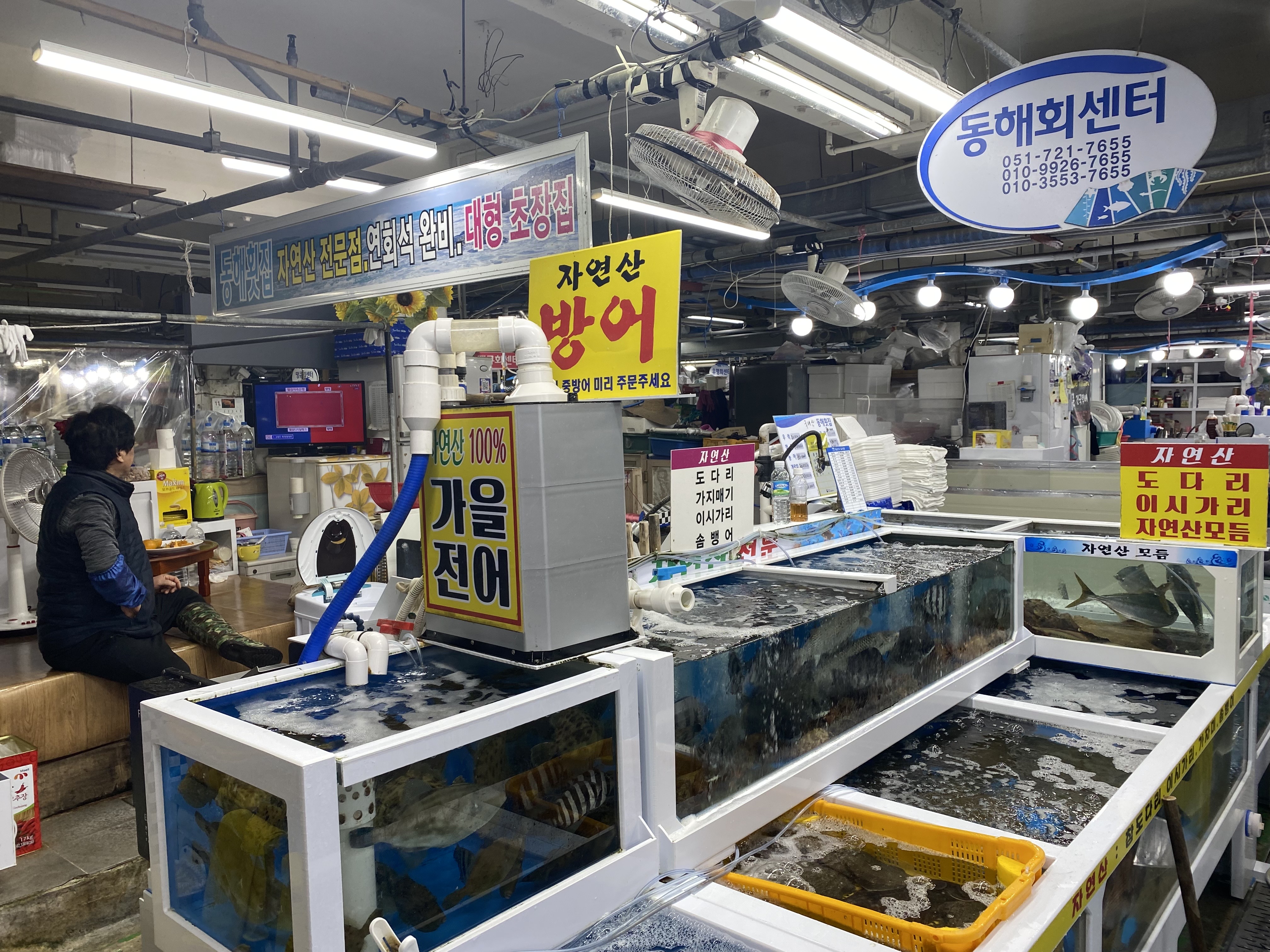 동해회센타