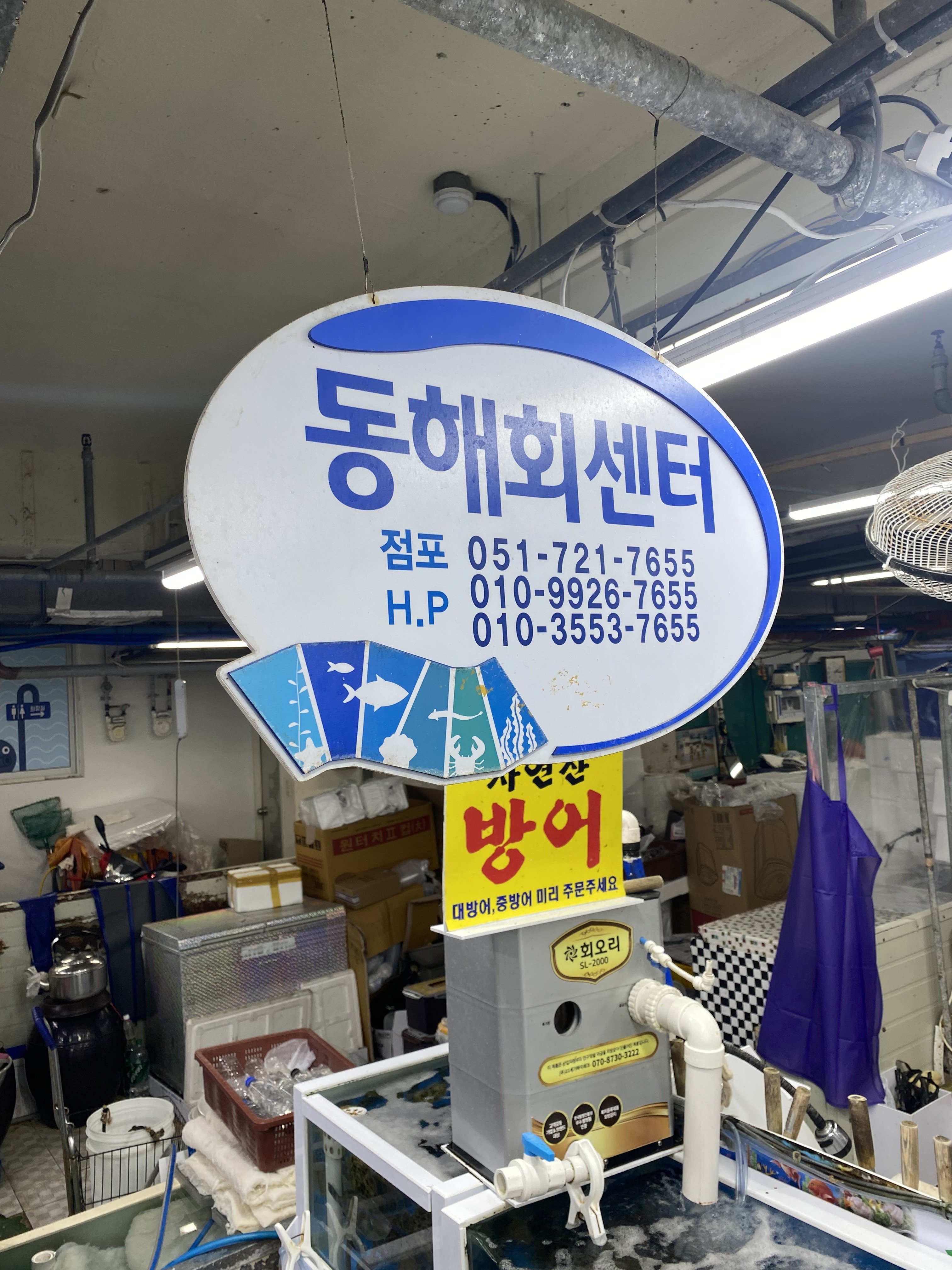 동해회센타