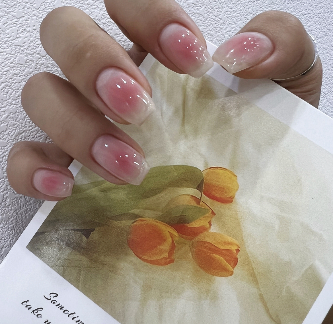 동백꽃물들다 대표 이미지