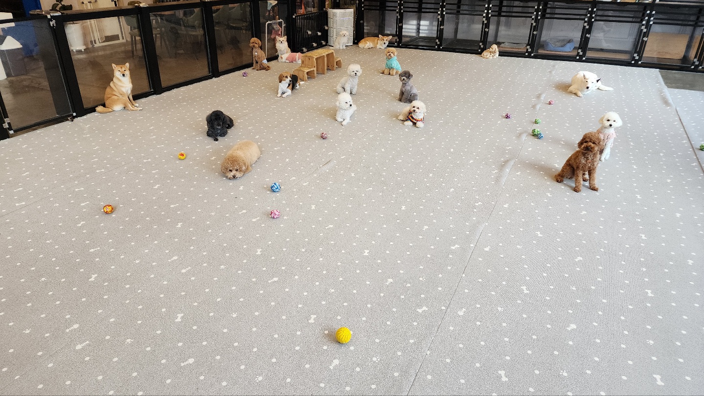 뭉개뭉개유치원 대표 이미지