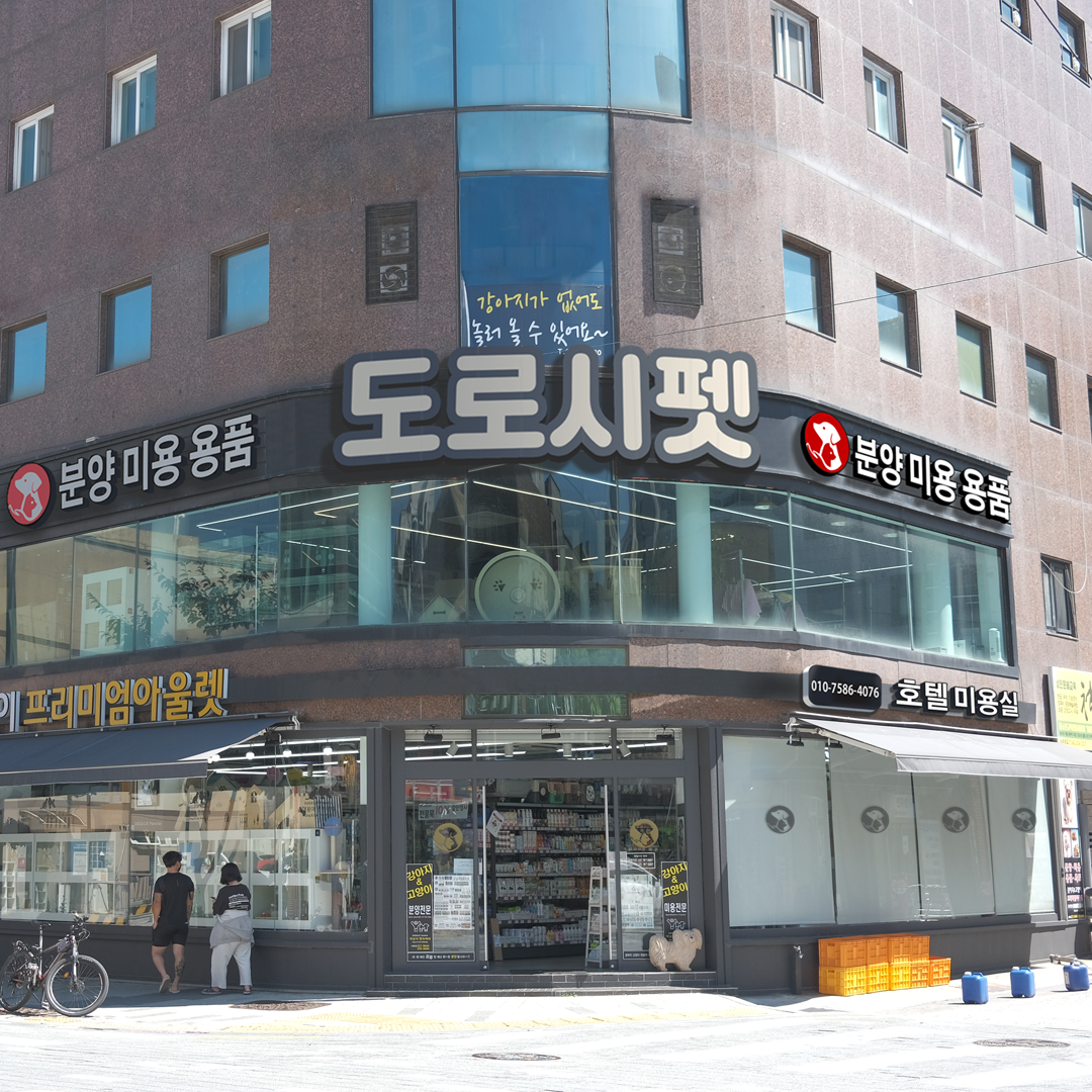 도로시펫 강아지분양 고양이분양 대전점