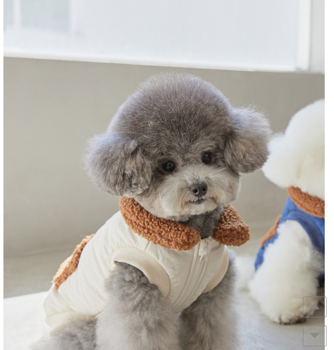 씨유펫 상주점