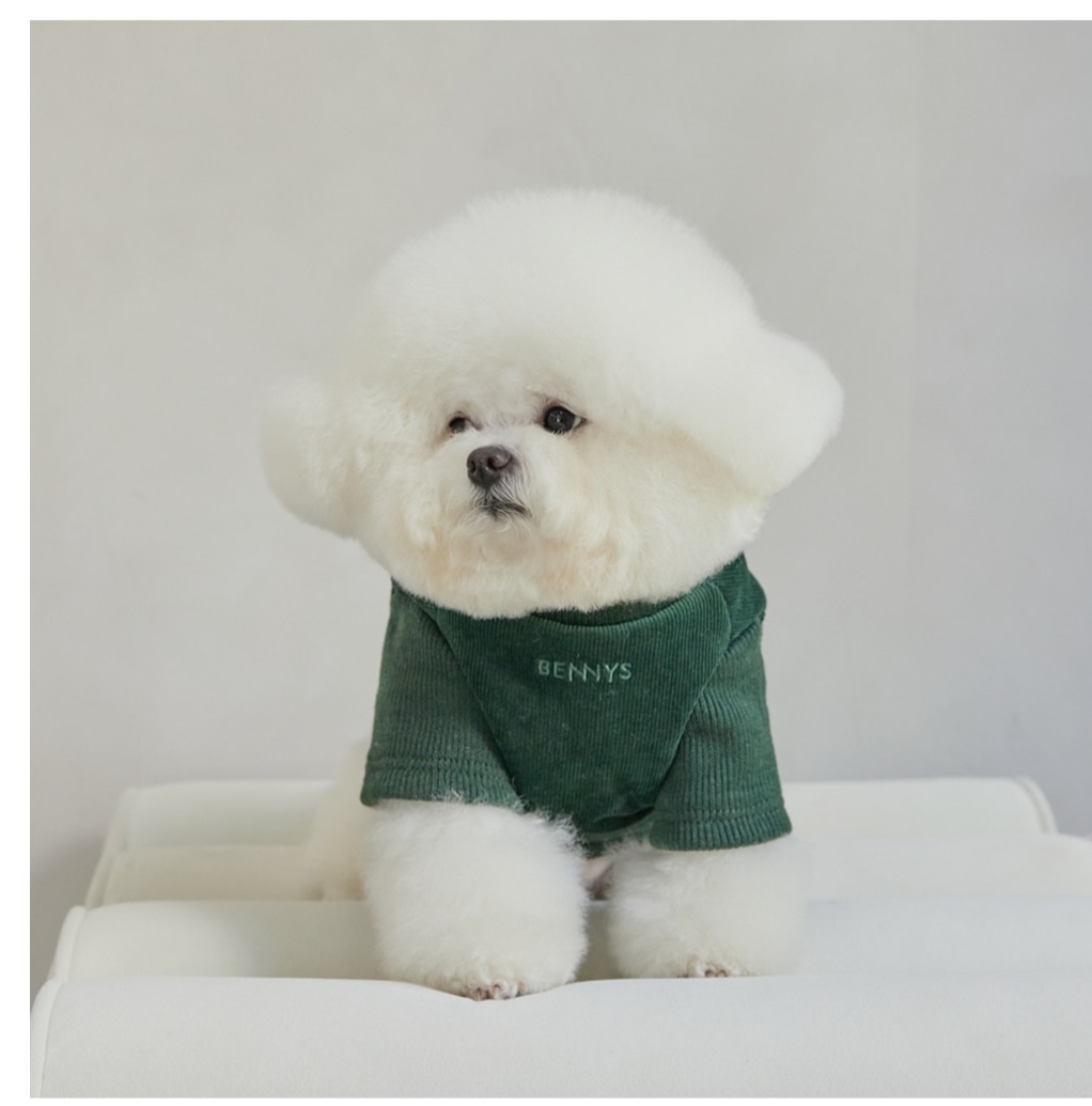 씨유펫 상주점