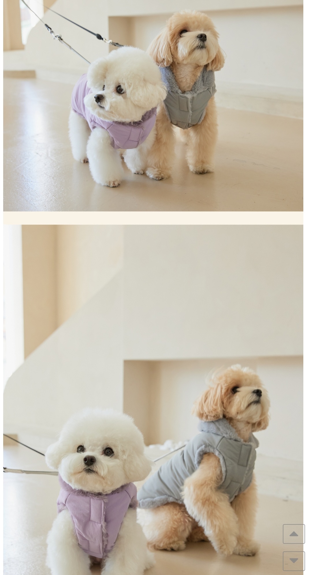 씨유펫 상주점