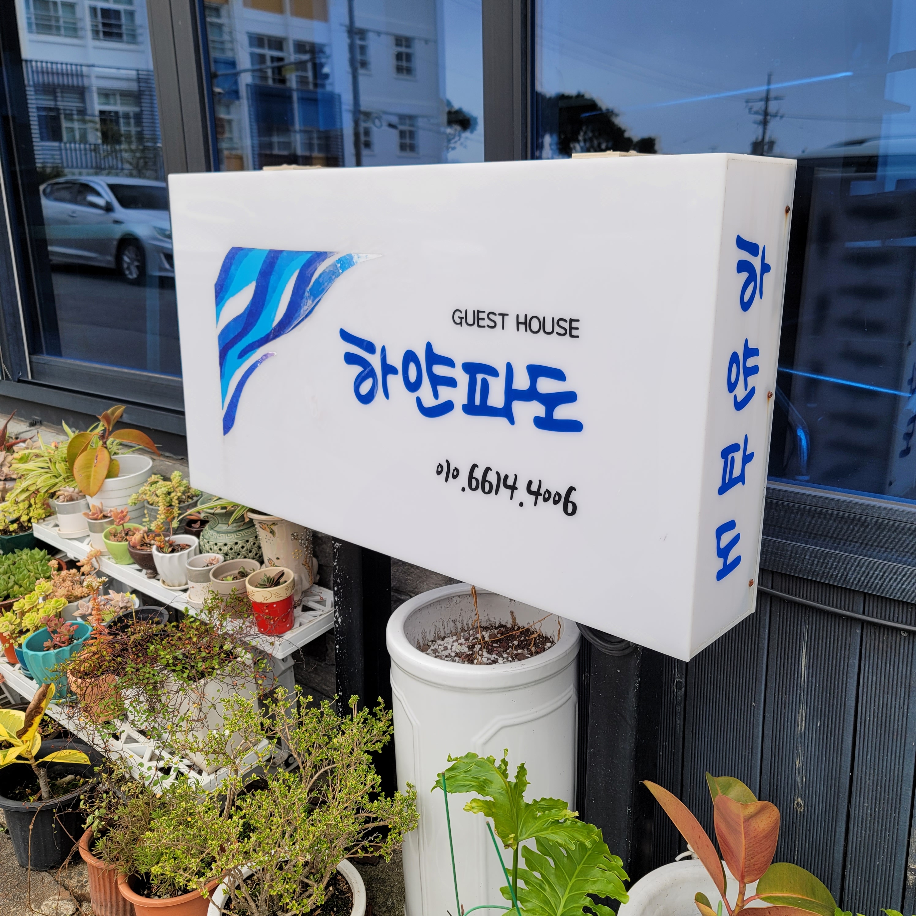 하얀파도