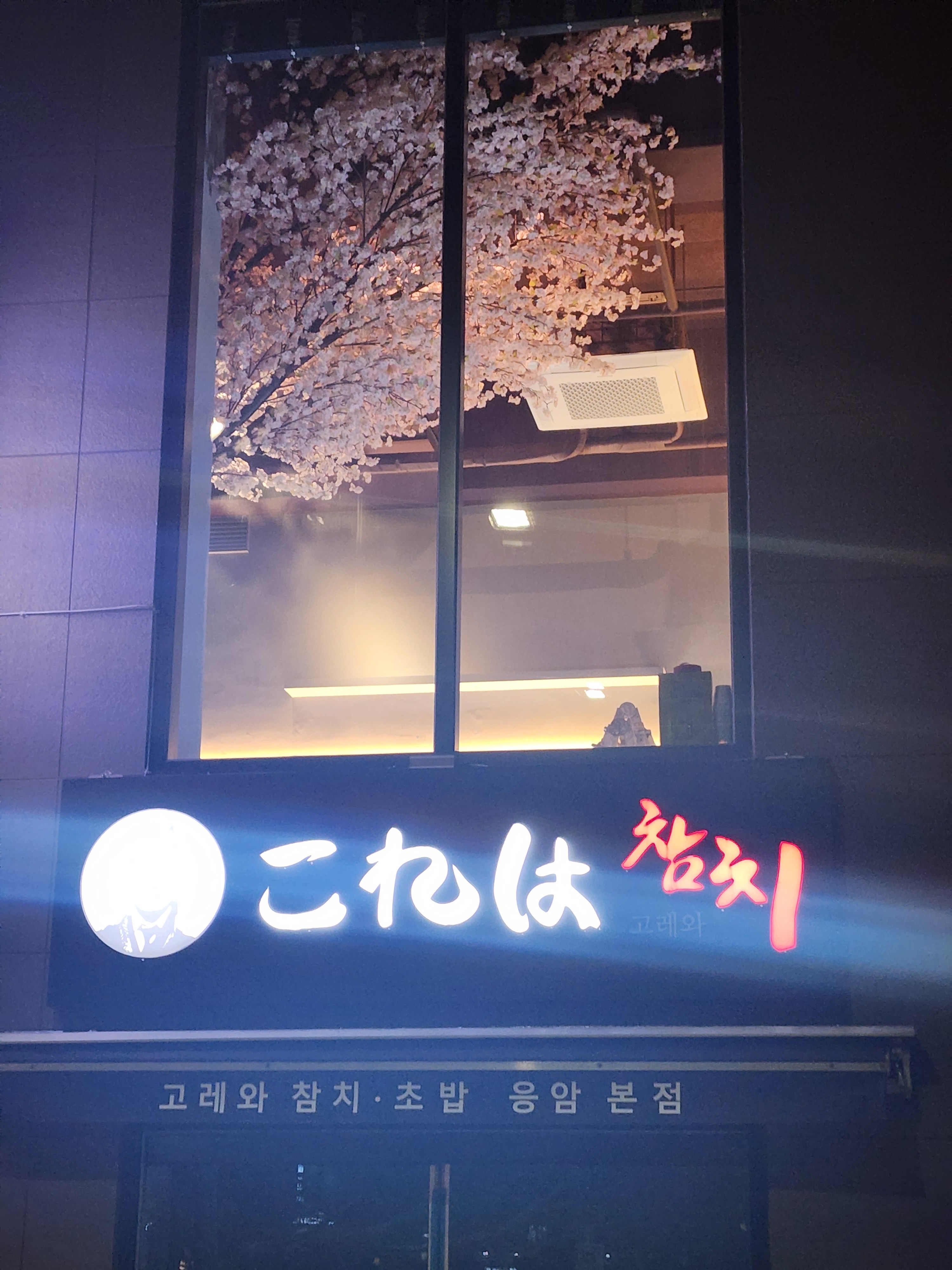 고레와참치