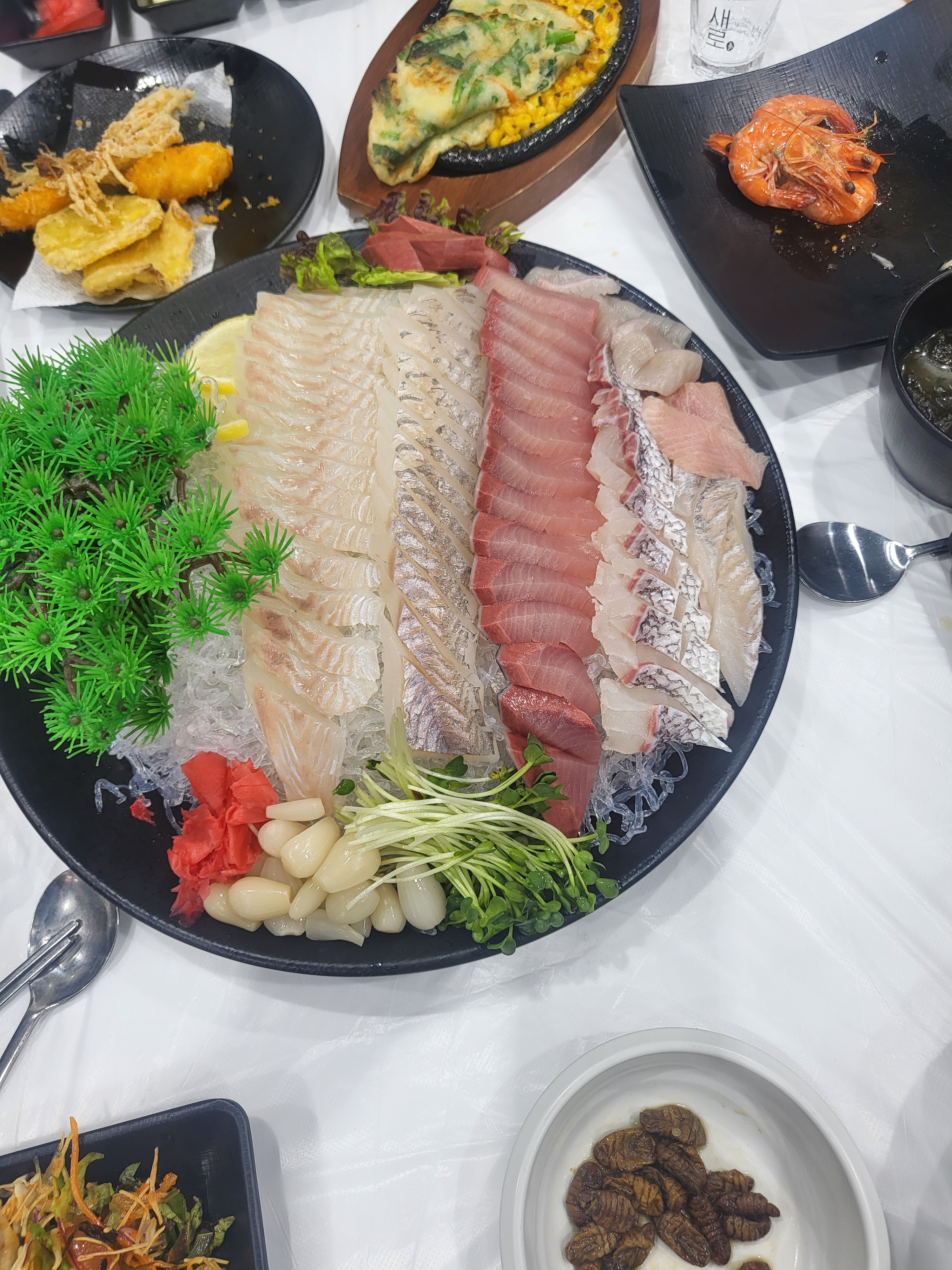 완도해미원수산