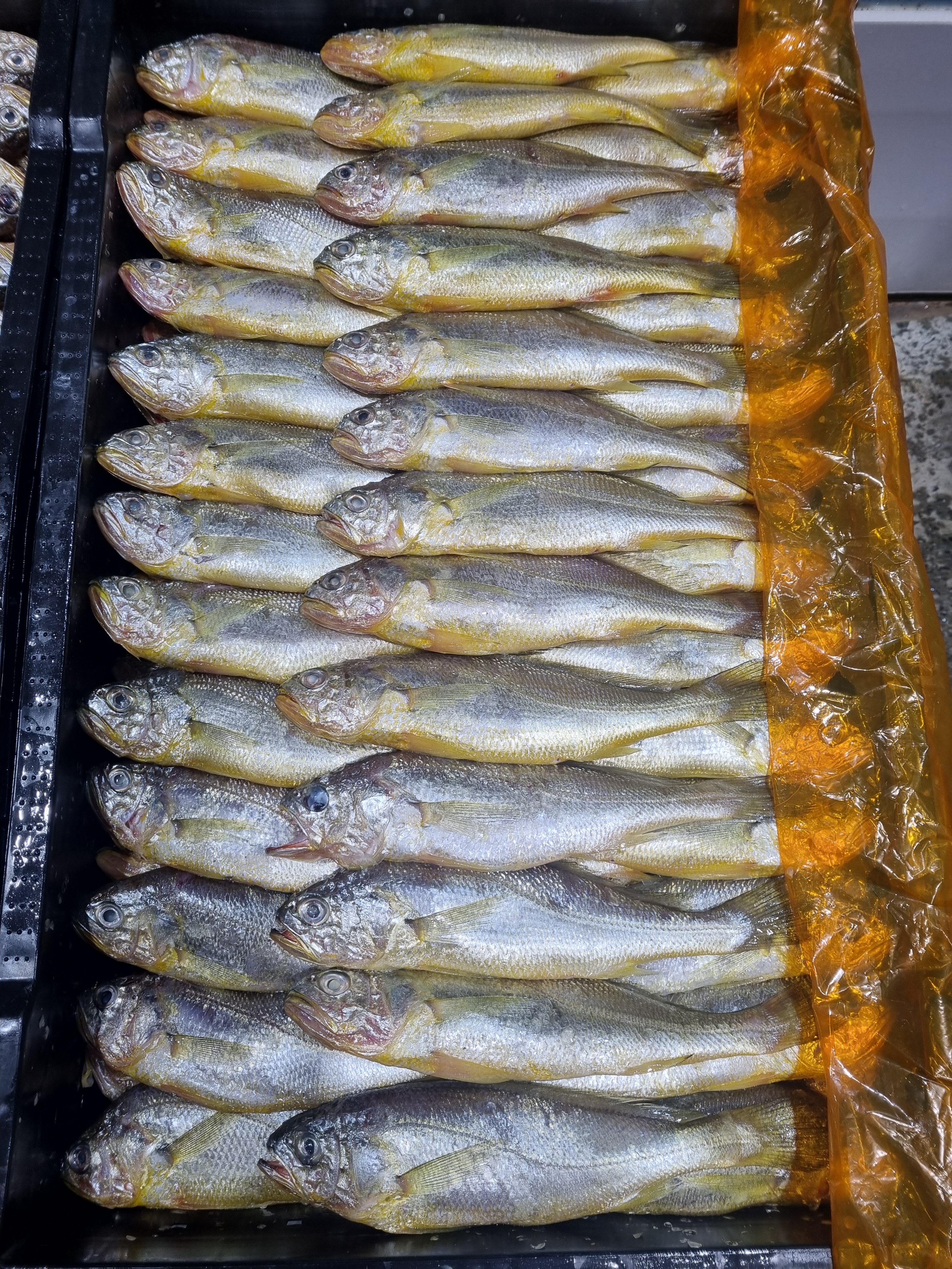 임자수산