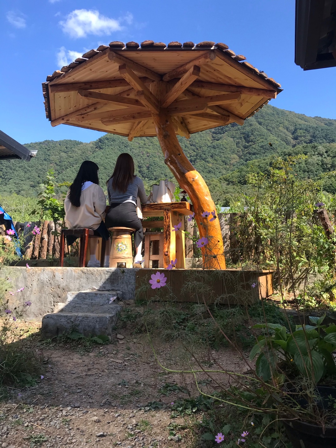 차마실산