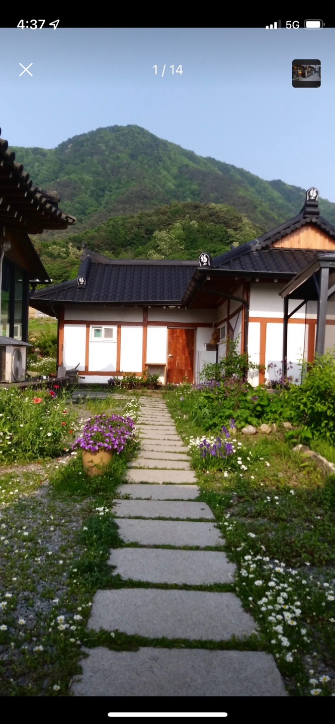 차마실산
