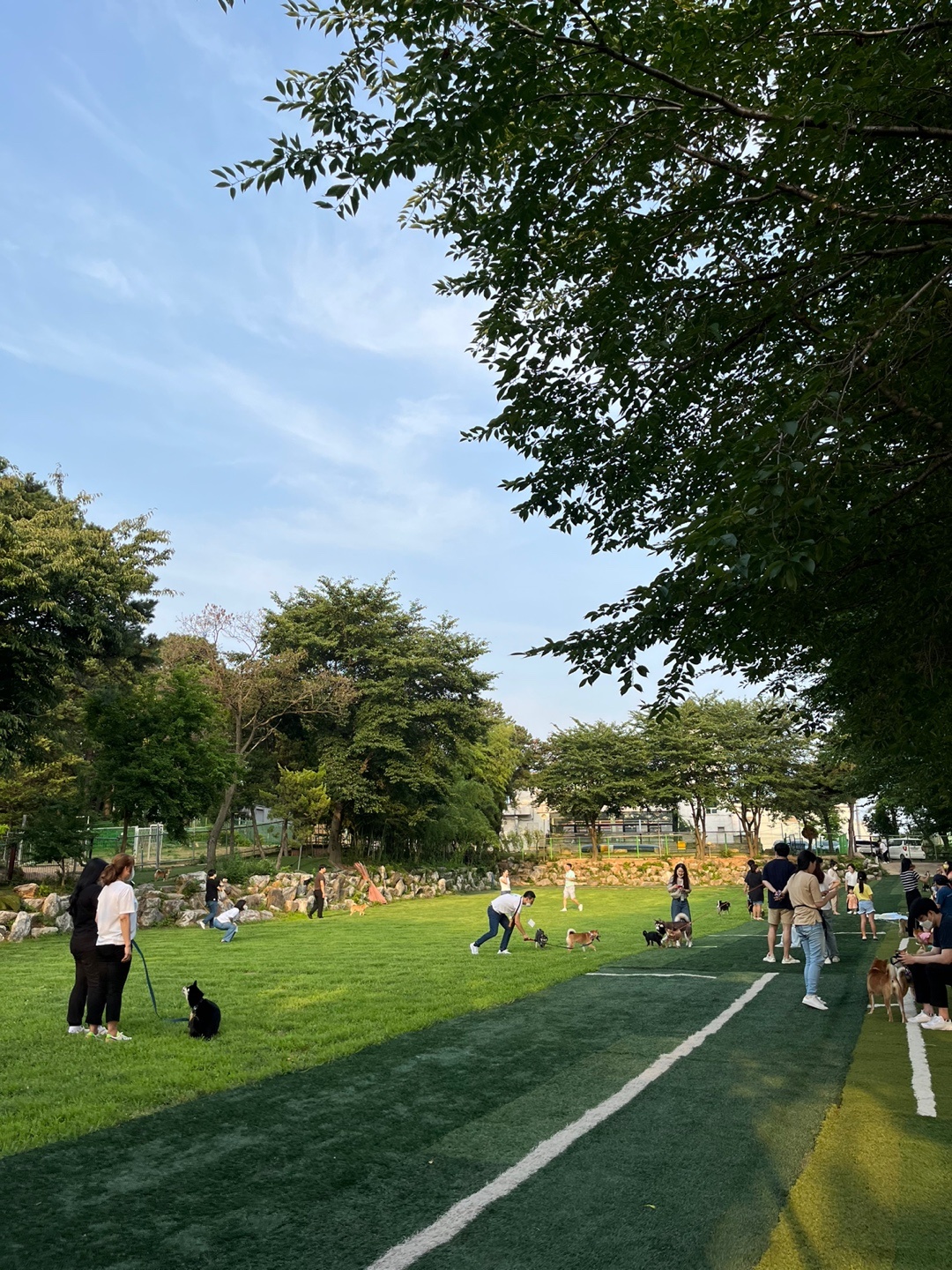 드린겐애견학교 대표 이미지