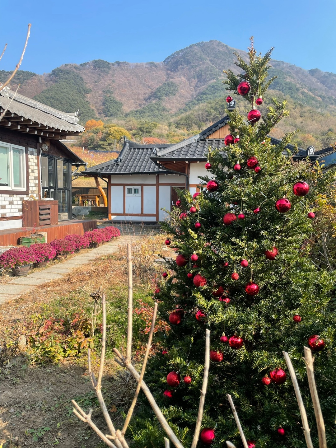 차마실산