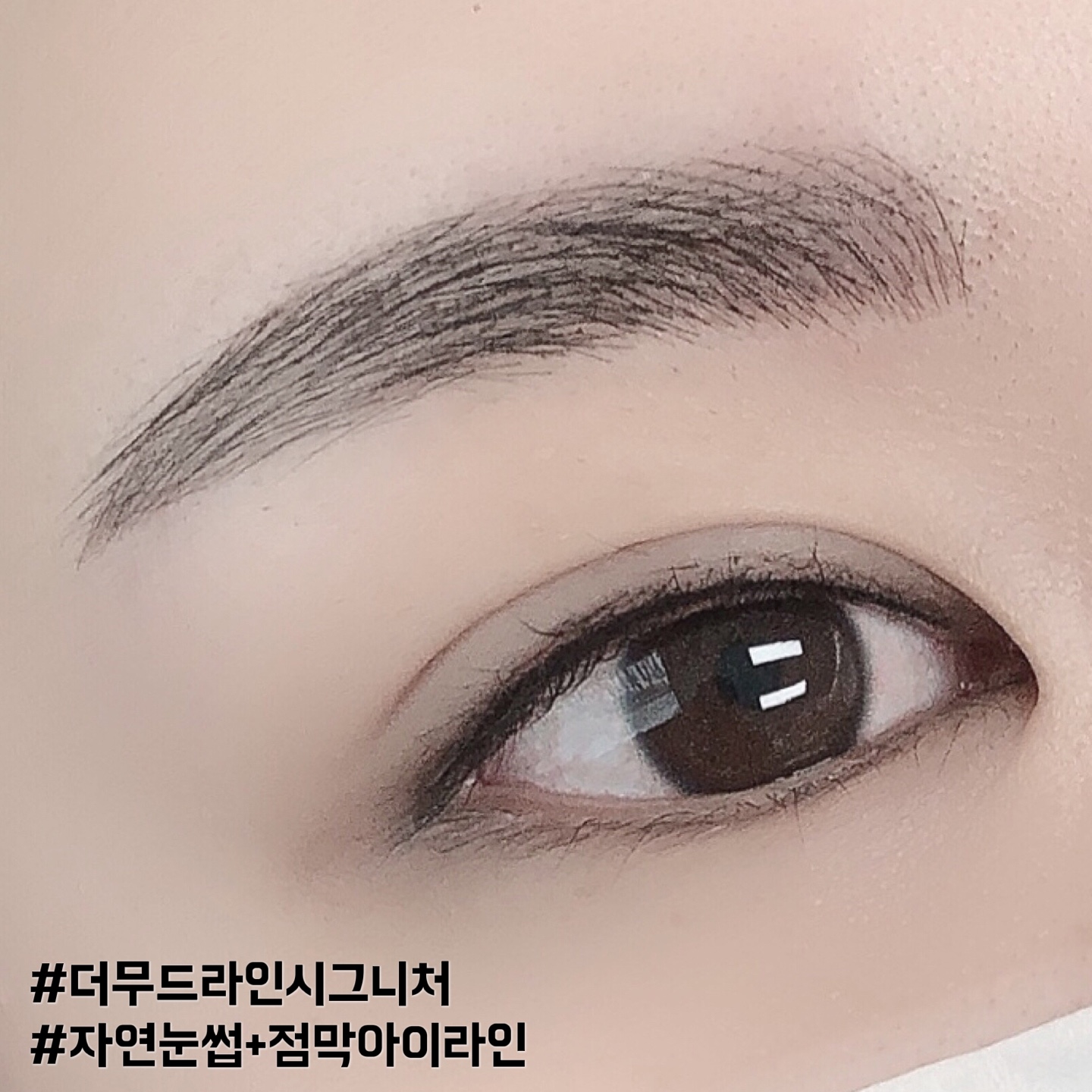 더무드라인