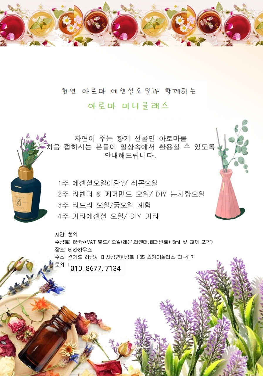 테라하우스 대표 이미지