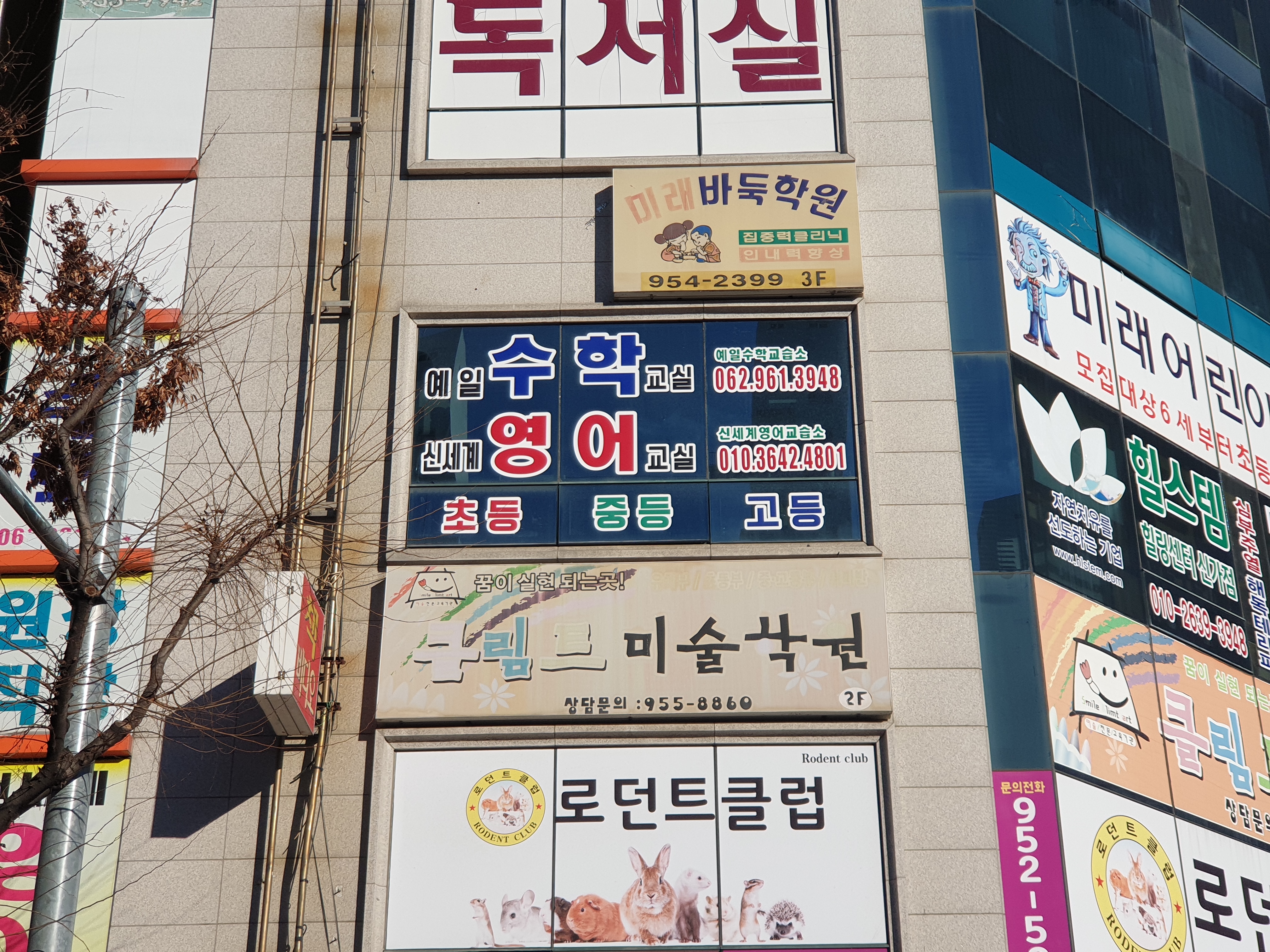 예일수학교실
