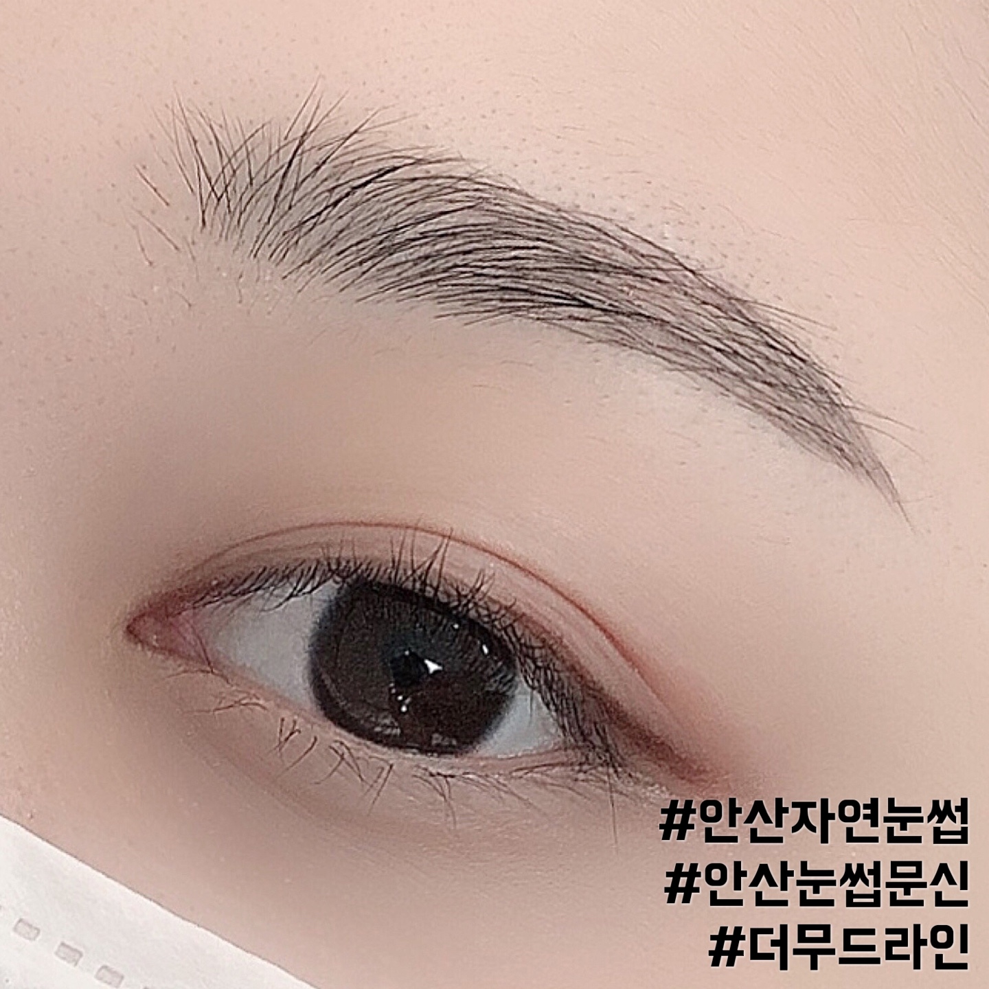 더무드라인