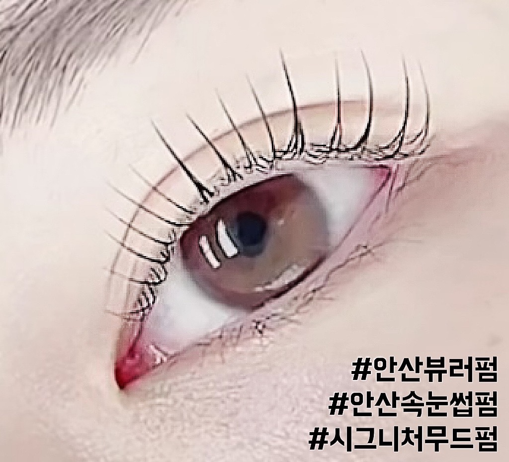 더무드라인